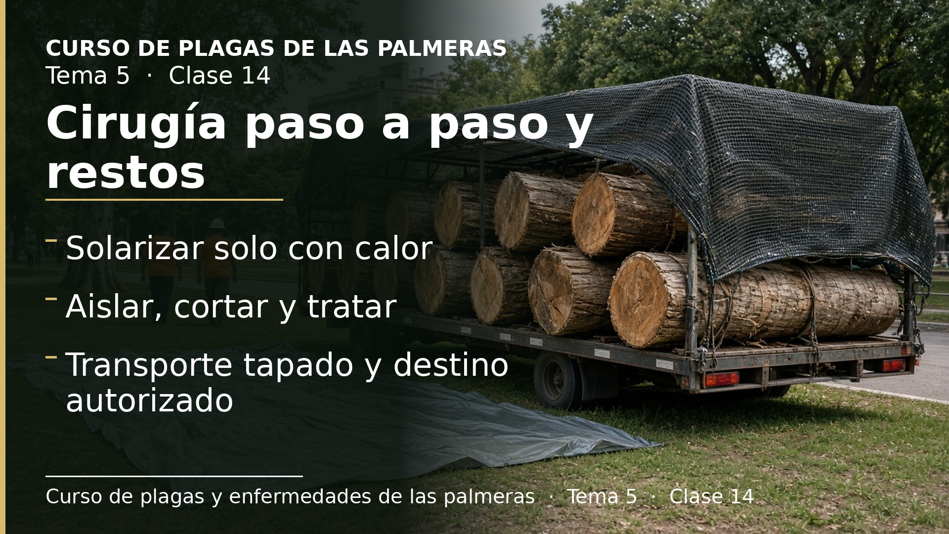 Diapositiva de la clase 14: Cirugía paso a paso y eliminación de restos