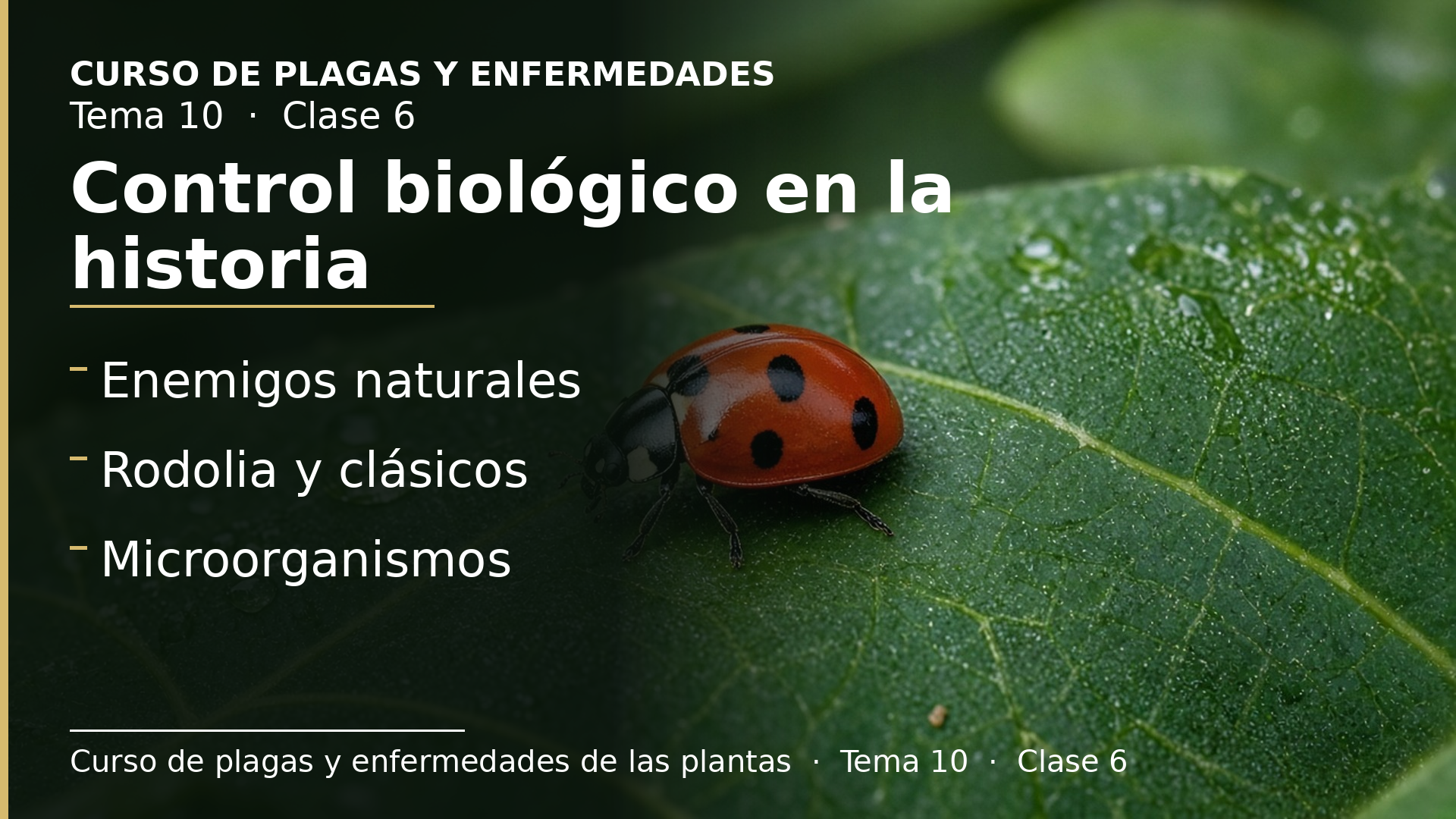 Diapositiva de la clase 6: Organismos de control biológico en la historia