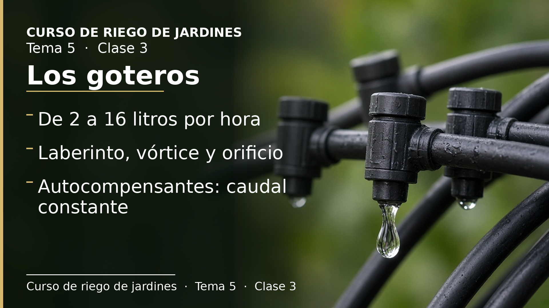 Diapositiva de la clase 3: Los goteros