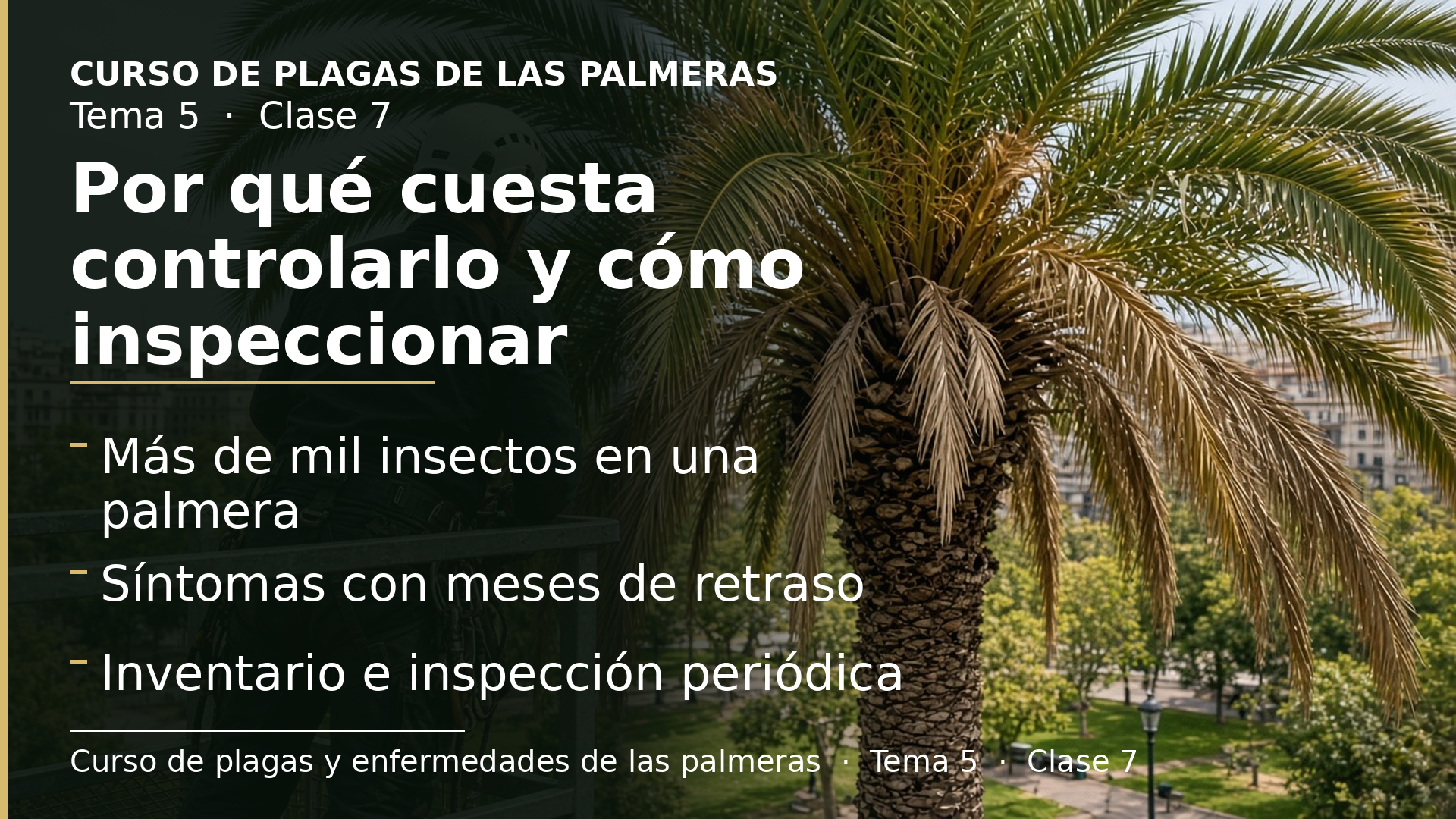 Diapositiva de la clase 7: Por qué es tan difícil de controlar y cómo se inspecciona