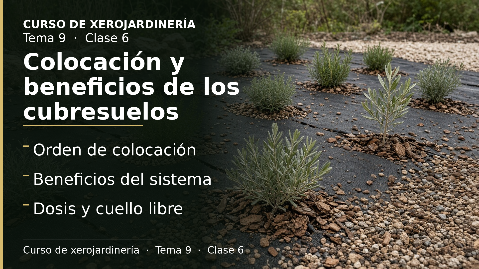 Diapositiva de la clase 6: Colocación y beneficios de los cubresuelos