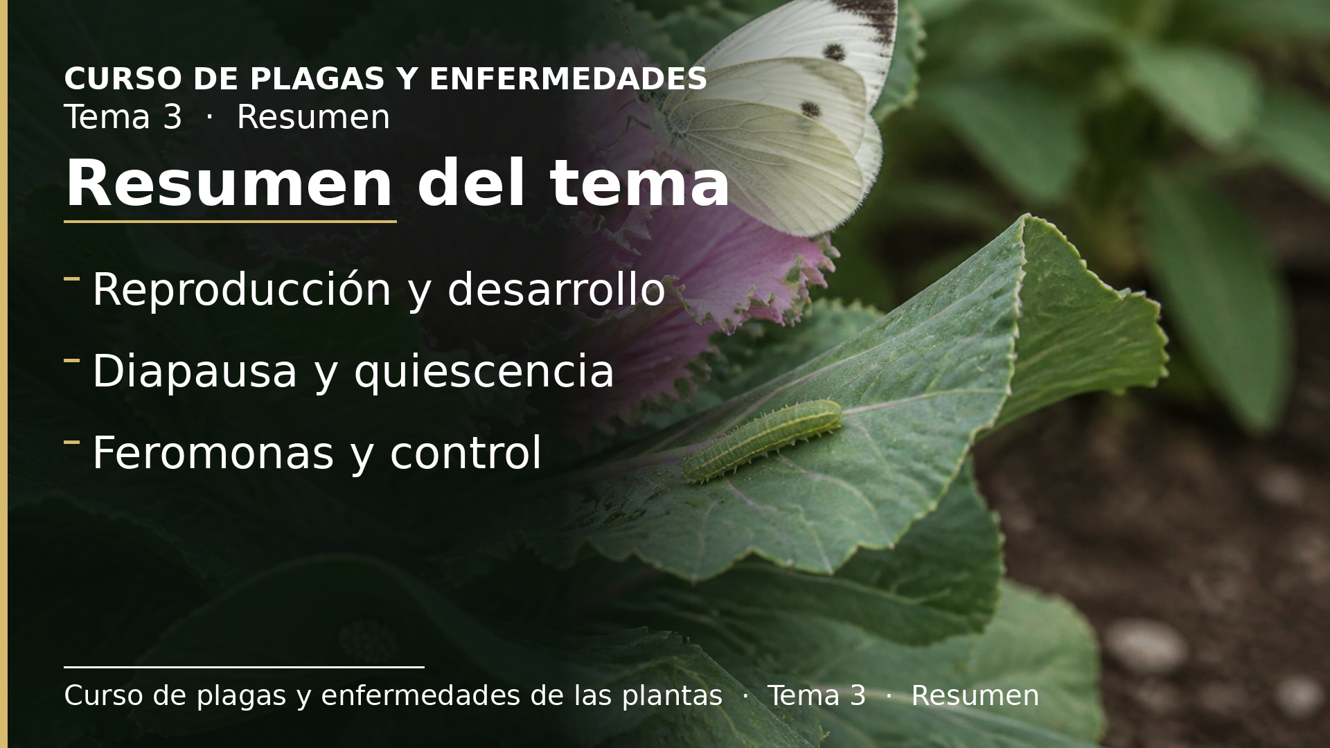 Diapositiva del resumen: Resumen del tema