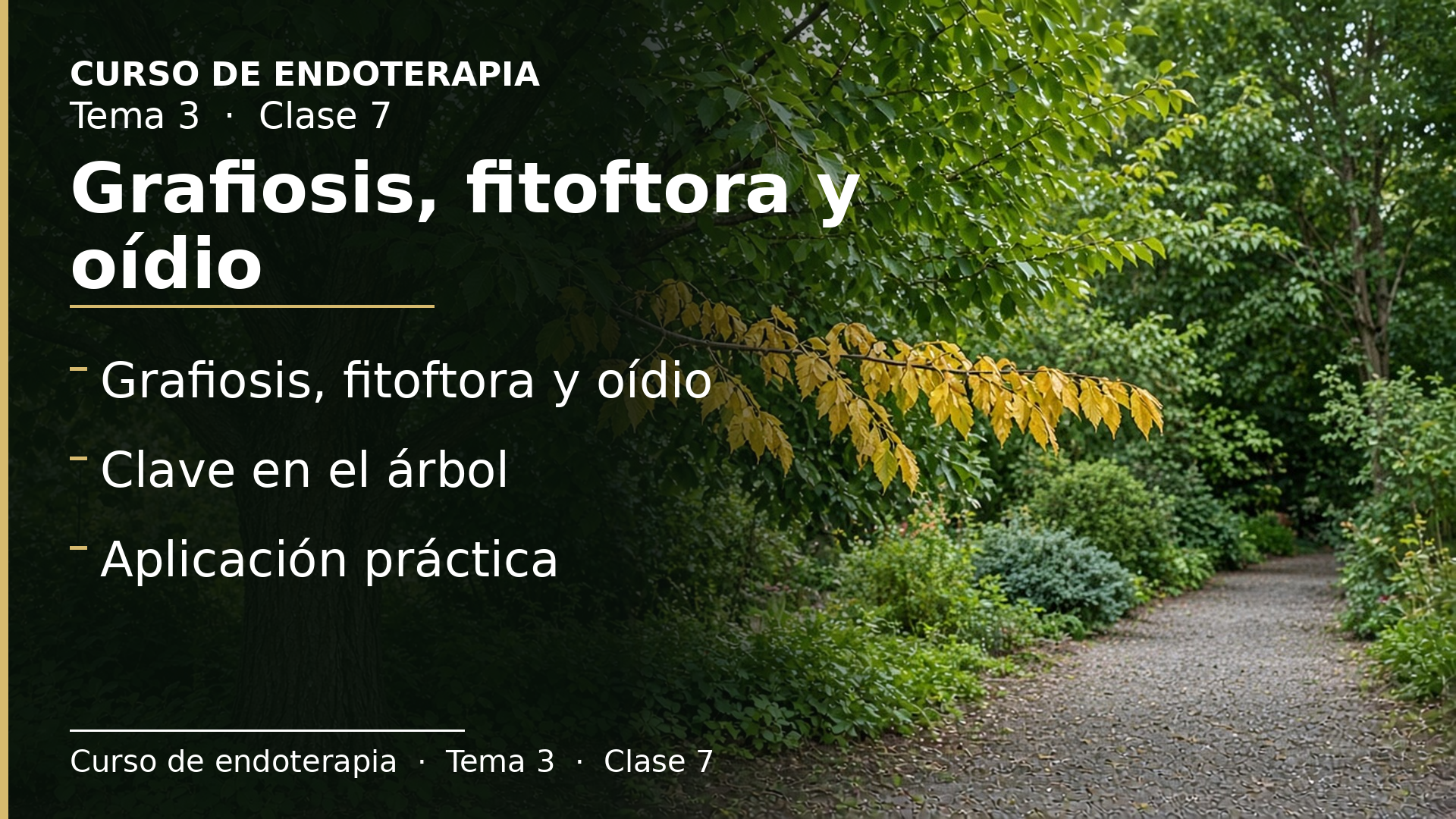 Diapositiva de la clase 7: Grafiosis, fitoftora y oídio