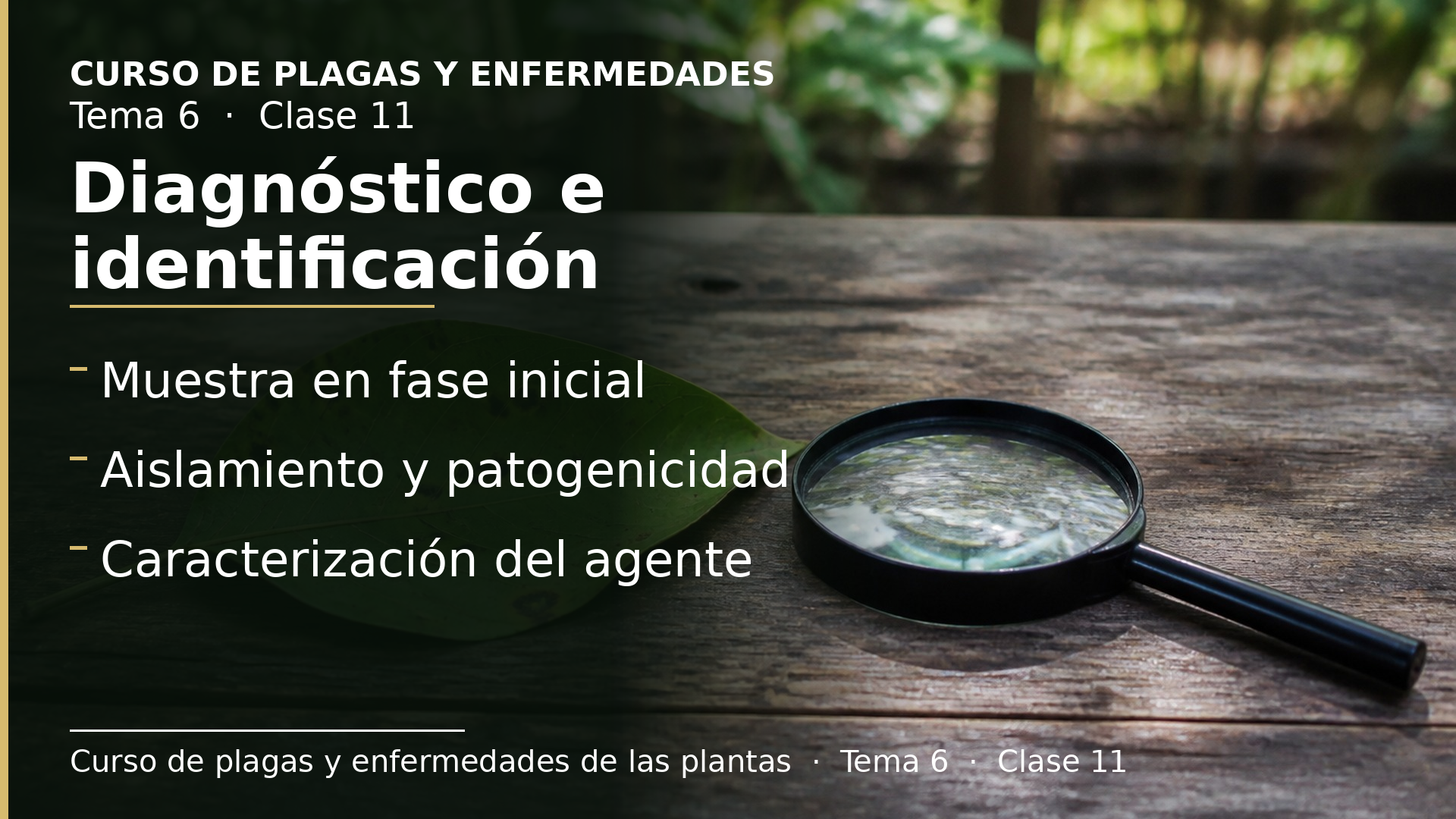 Diapositiva de la clase 11: Diagnóstico e identificación de bacterias