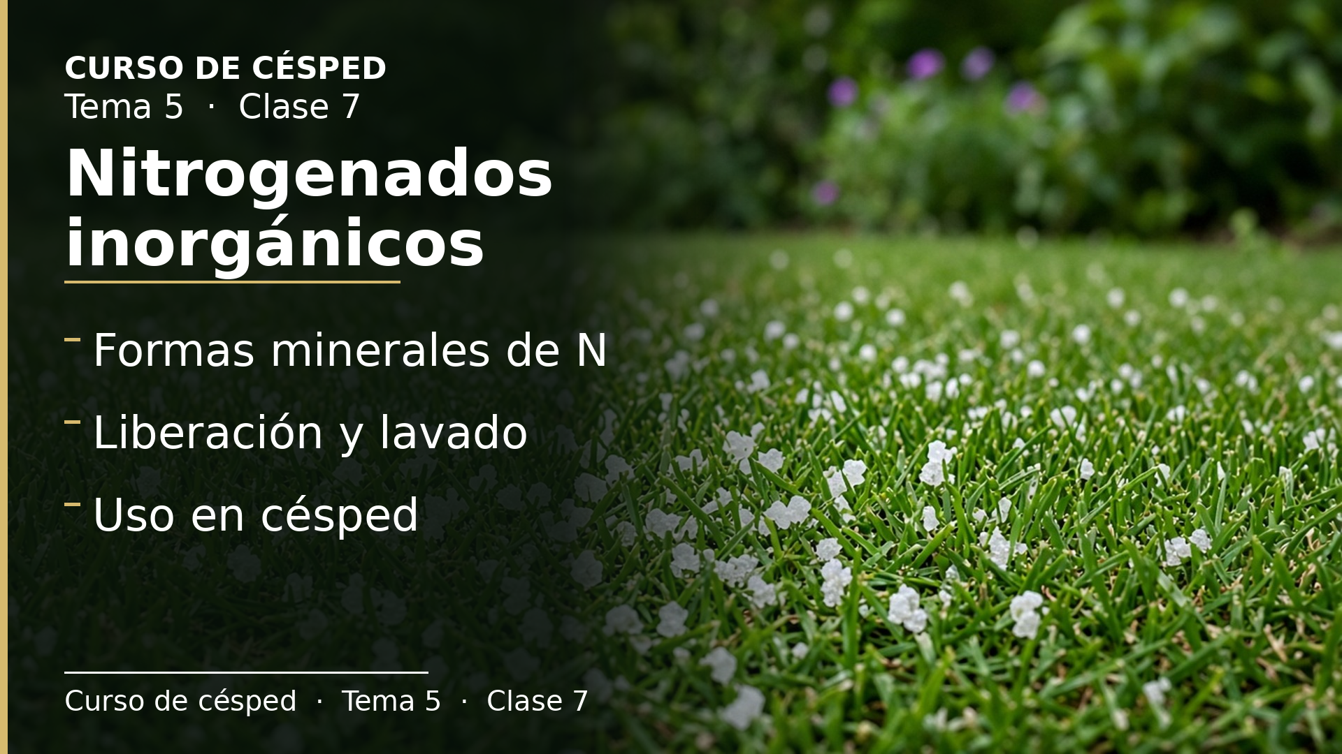 Diapositiva de la clase 7: Nitrogenados inorgánicos