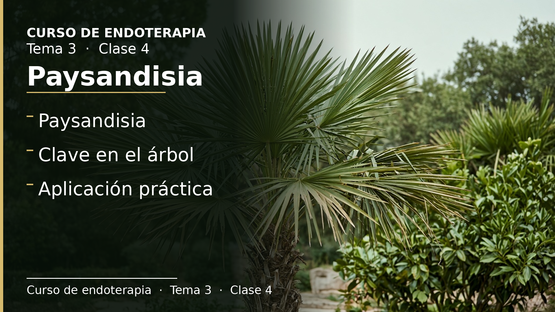 Diapositiva de la clase 4: Paysandisia
