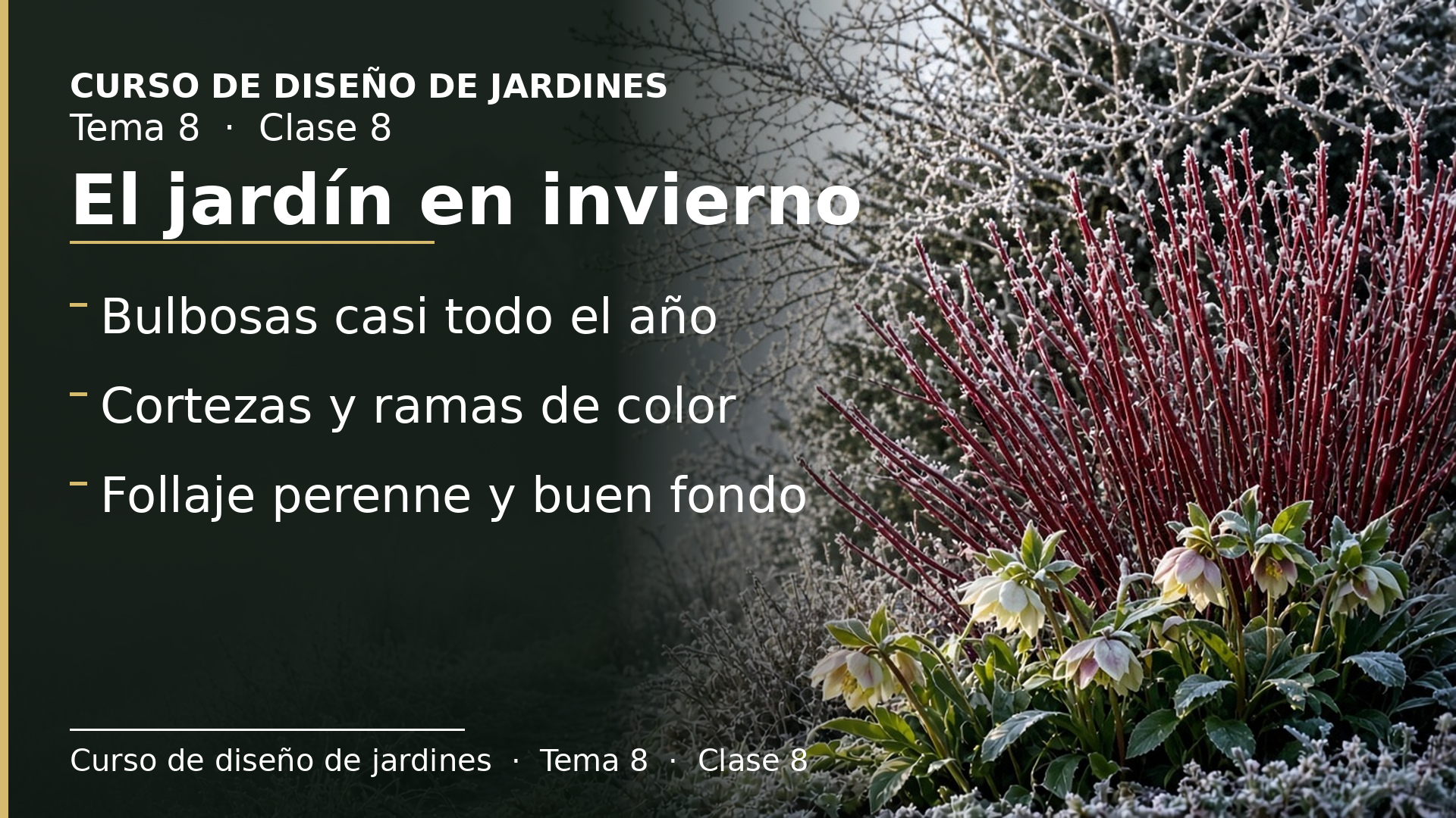 Diapositiva de la clase 8: El jardín en invierno