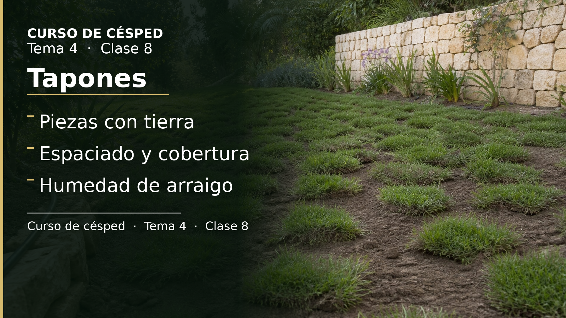 Diapositiva de la clase 8: Tapones