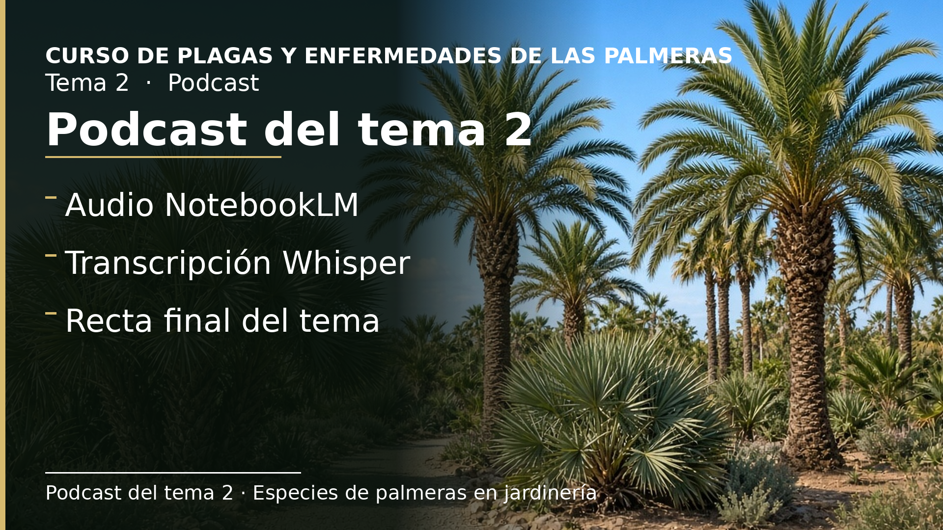 Diapositiva del resumen: Podcast del tema 2 · Especies de palmeras en jardinería