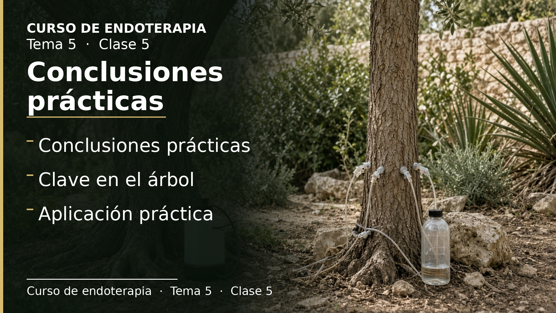 Diapositiva de la clase 5: Conclusiones prácticas