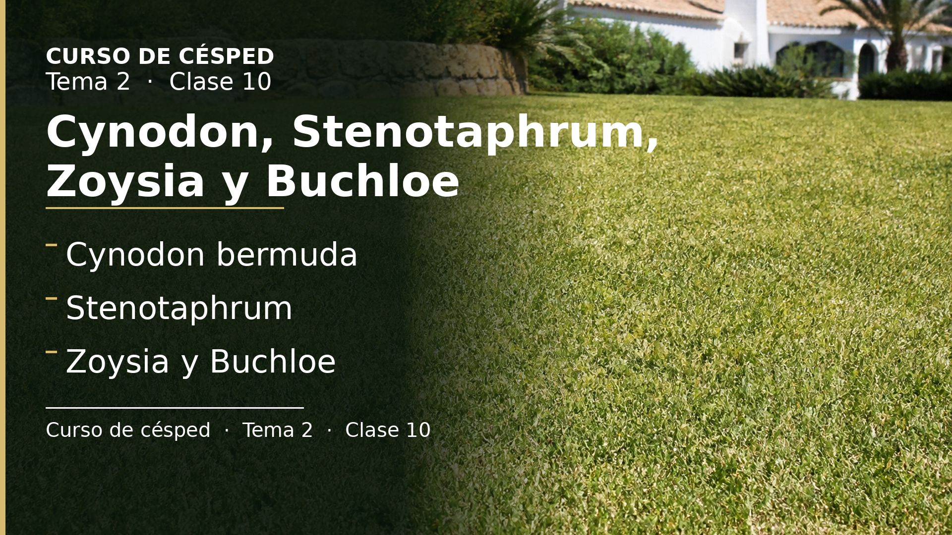 Diapositiva de la clase 10: Cynodon, Stenotaphrum, Zoysia y Buchloe