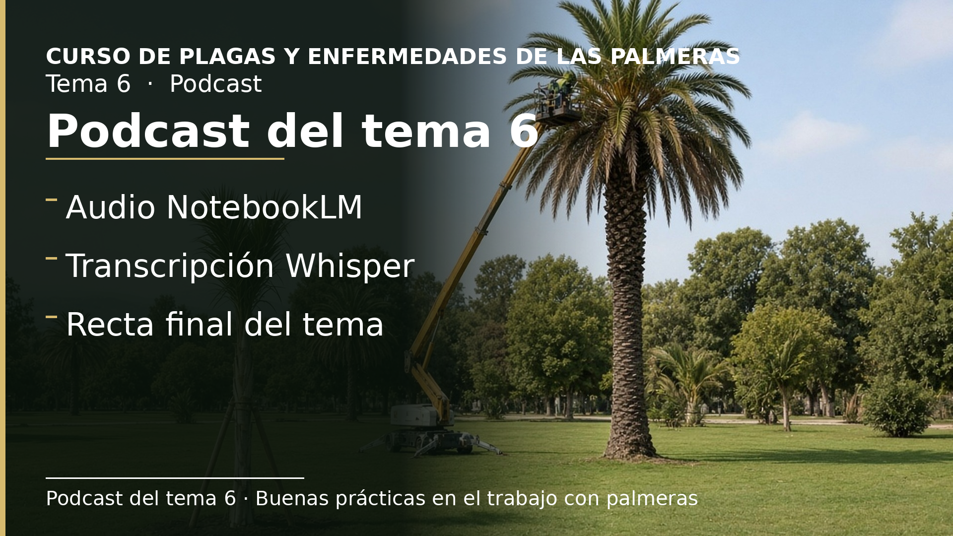 Diapositiva del resumen: Podcast del tema 6 · Buenas prácticas en el trabajo con palmeras