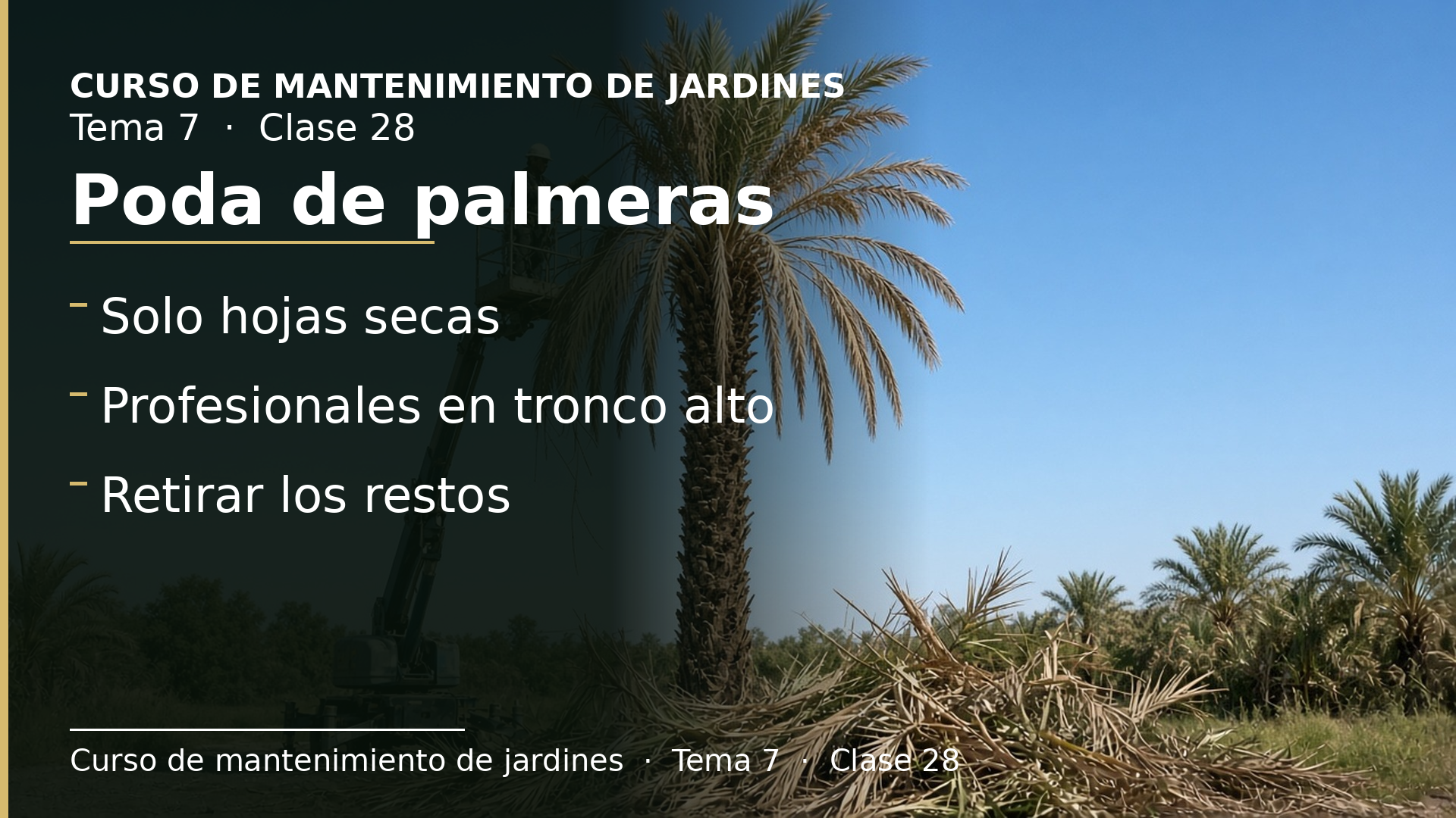 Diapositiva de la clase 28: Poda de palmeras