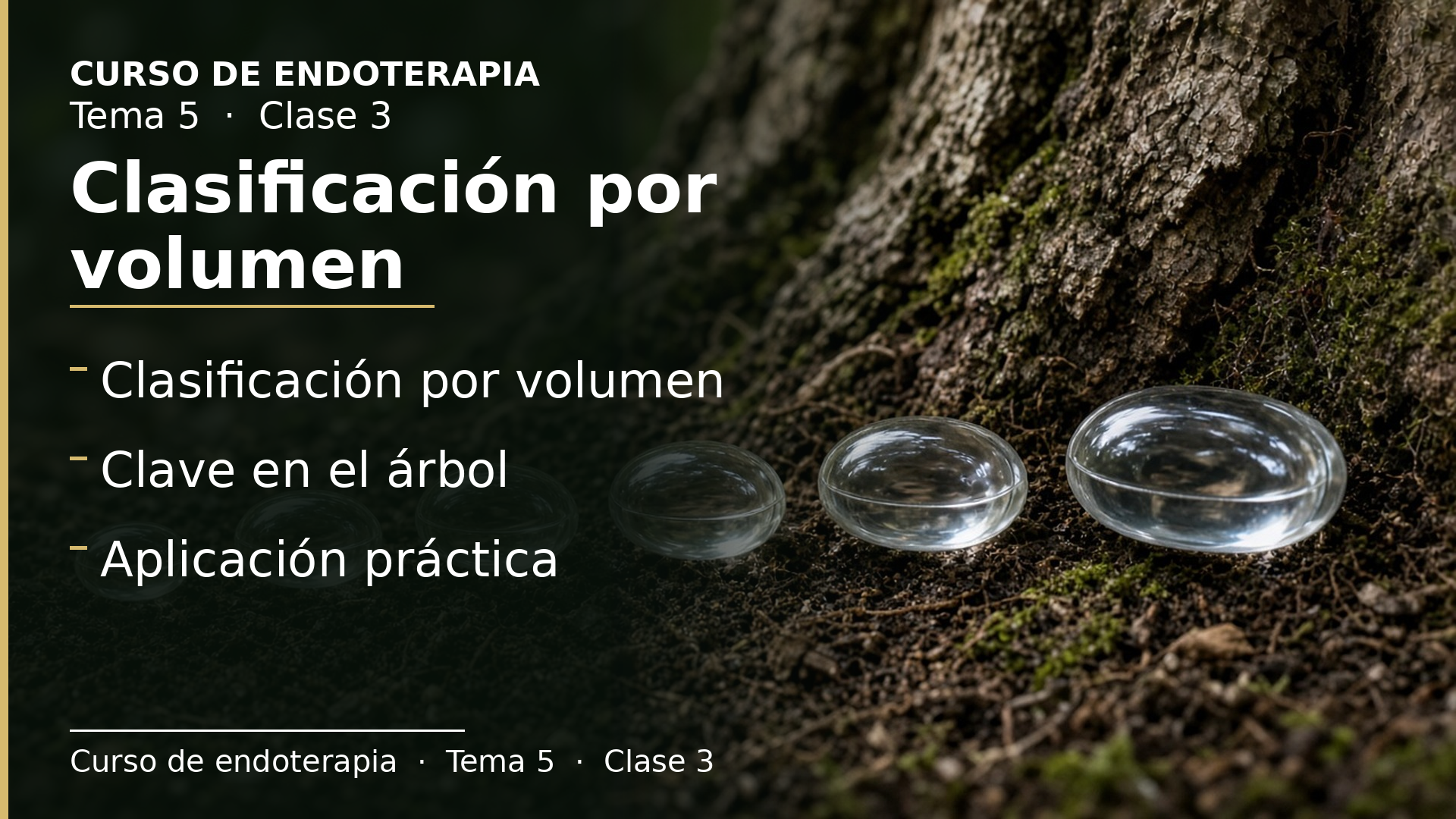Diapositiva de la clase 3: Clasificación por volumen