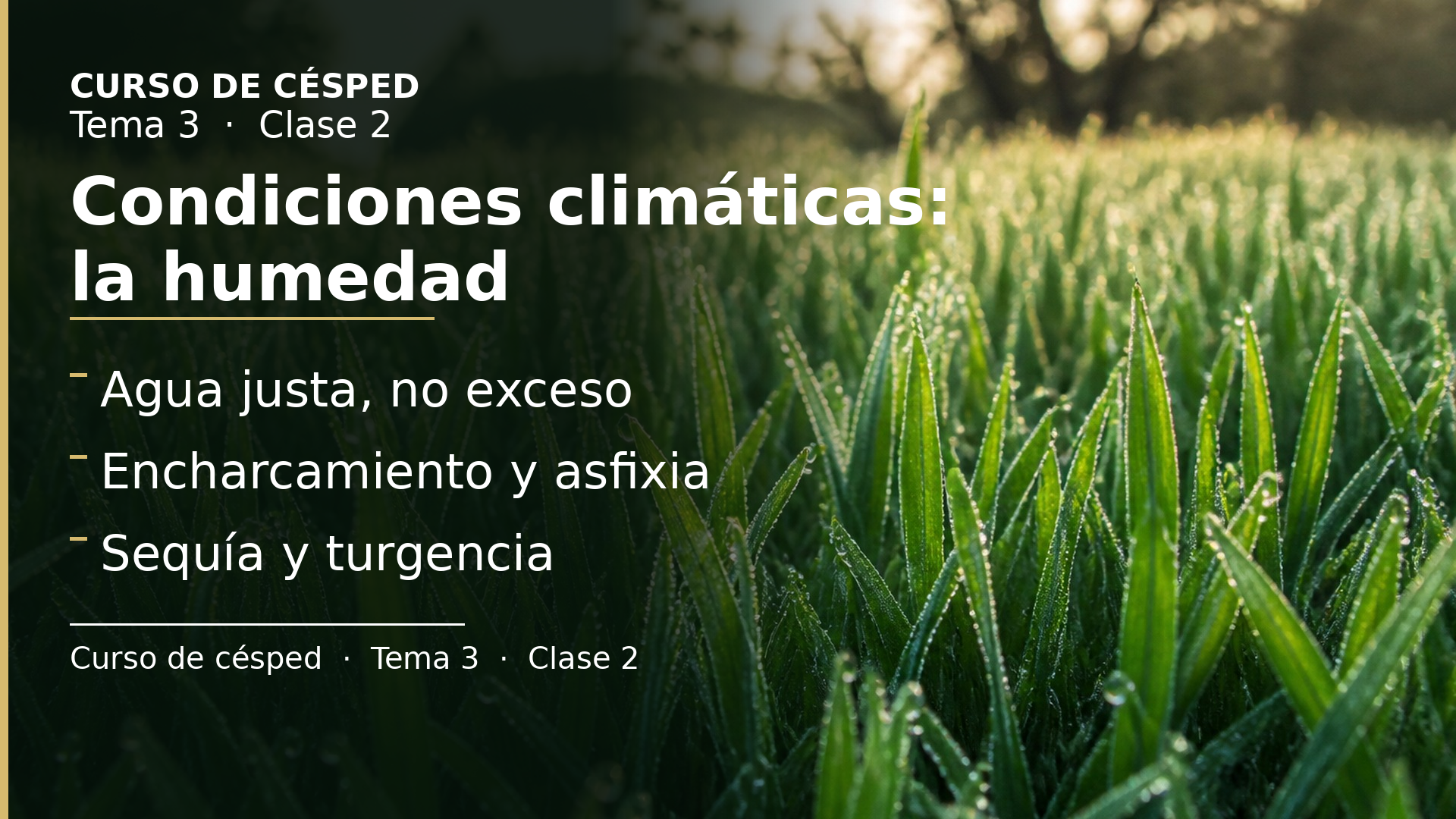 Diapositiva de la clase 2: Condiciones climáticas: la humedad