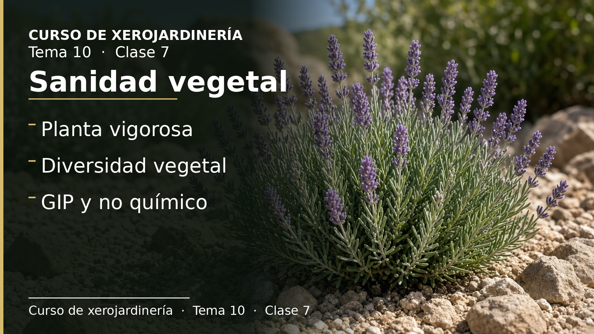 Diapositiva de la clase 7: Sanidad vegetal en el xerojardín