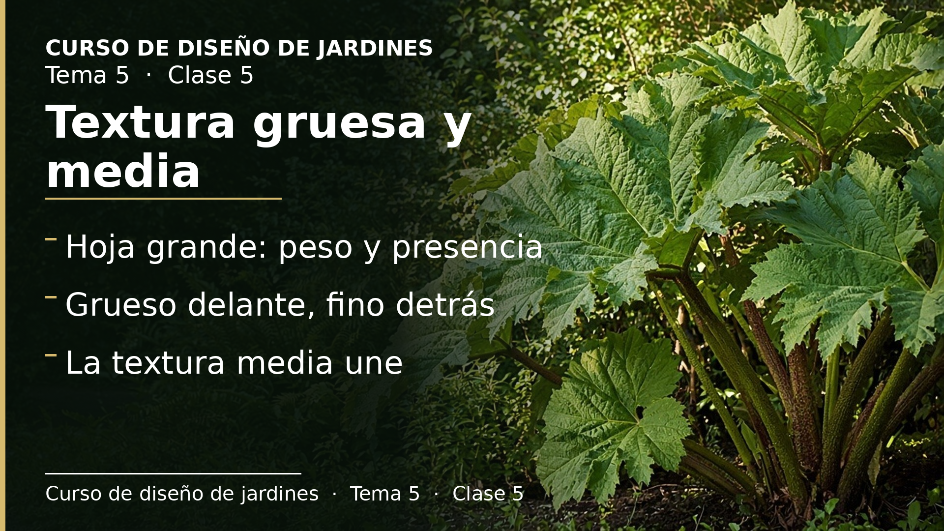 Diapositiva de la clase 5: Textura (II): la textura gruesa y la media