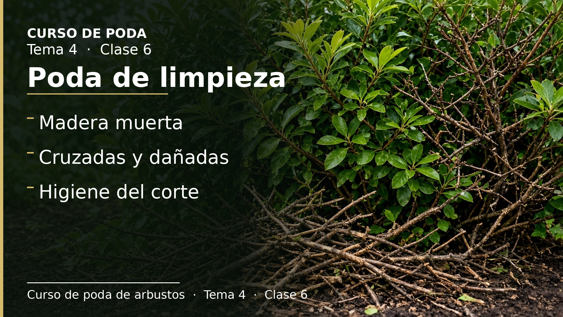 Diapositiva de la clase 6: Poda de limpieza