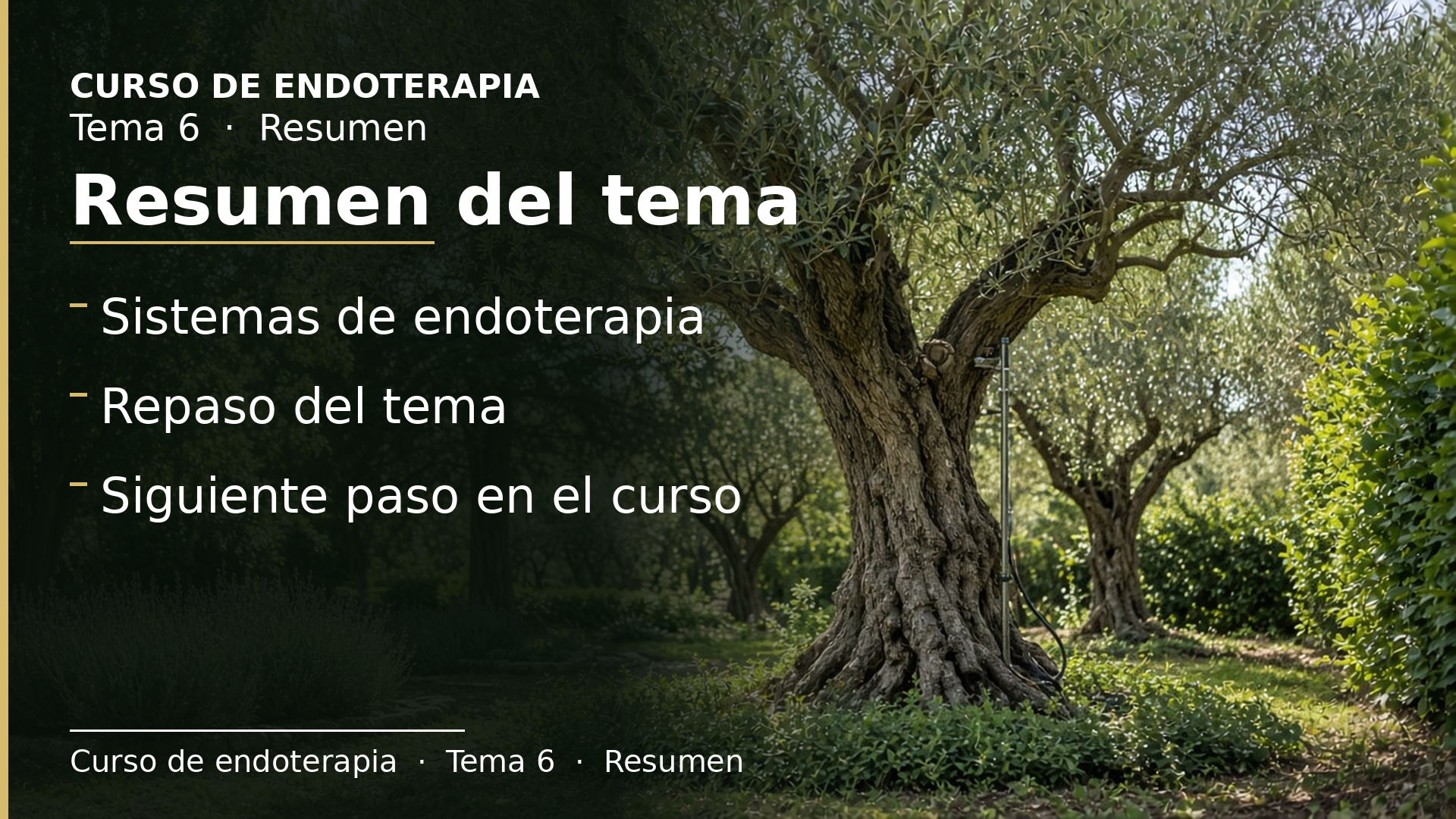 Diapositiva del resumen: Resumen del tema