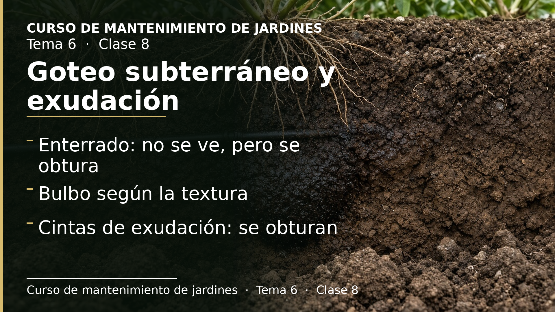 Diapositiva de la clase 8: Goteo subterráneo, bulbo húmedo y cintas de exudación