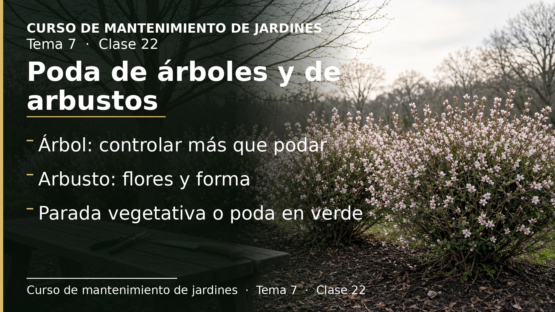 Diapositiva de la clase 22: La poda de árboles (II) y de arbustos