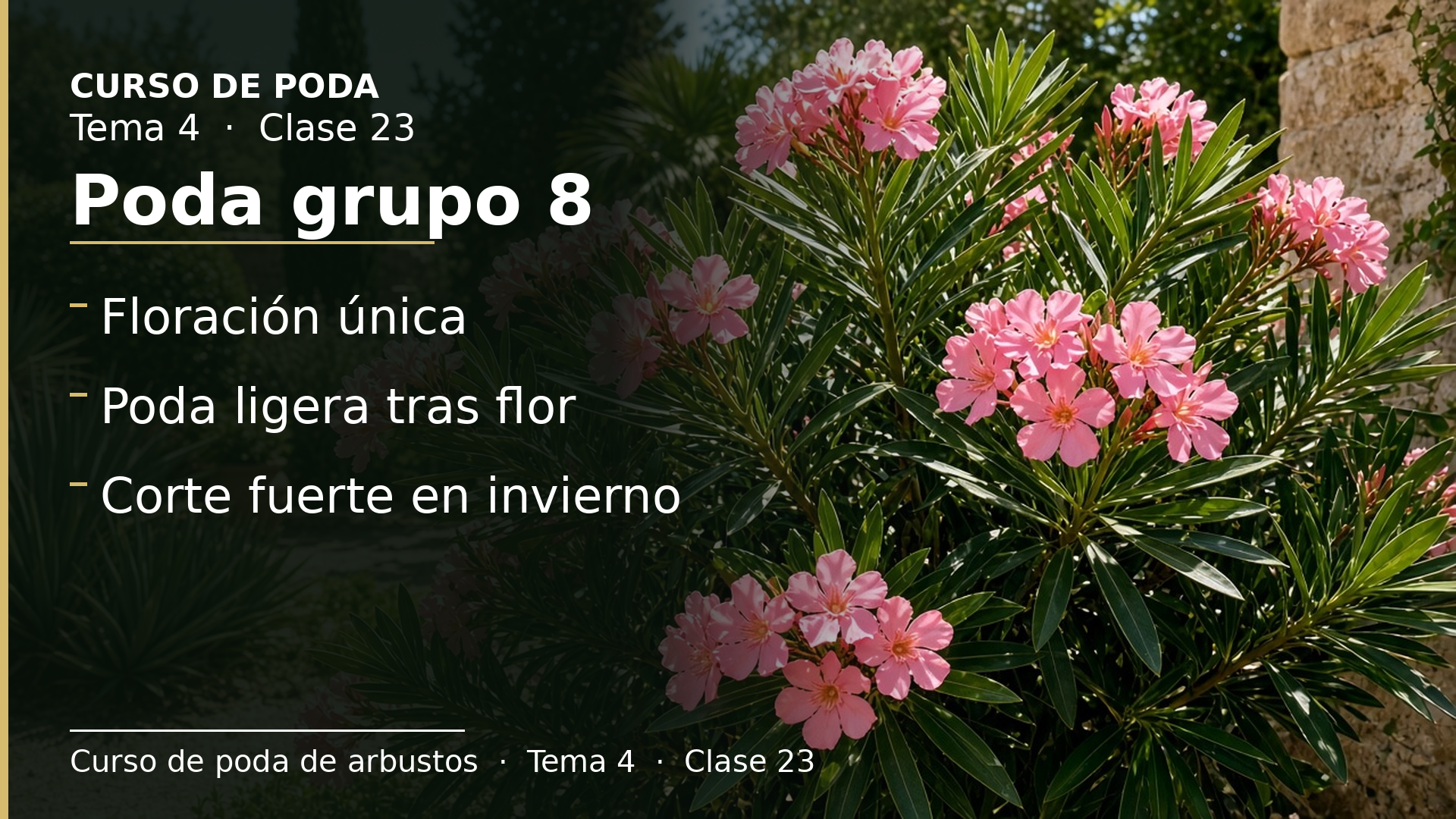Diapositiva de la clase 23: Poda grupo 8 · perennifolios de flor