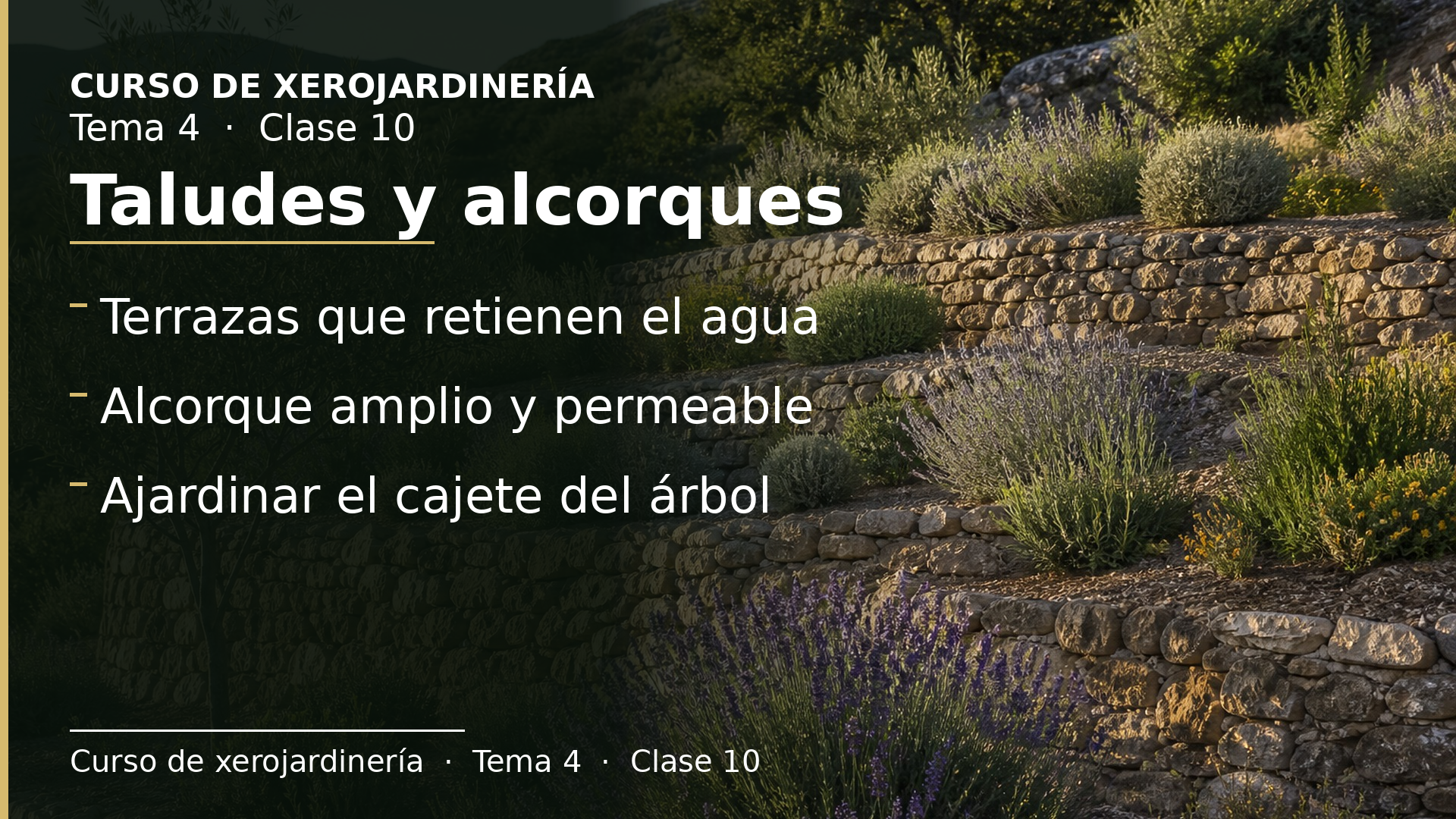 Diapositiva de la clase 10: Taludes y alcorques