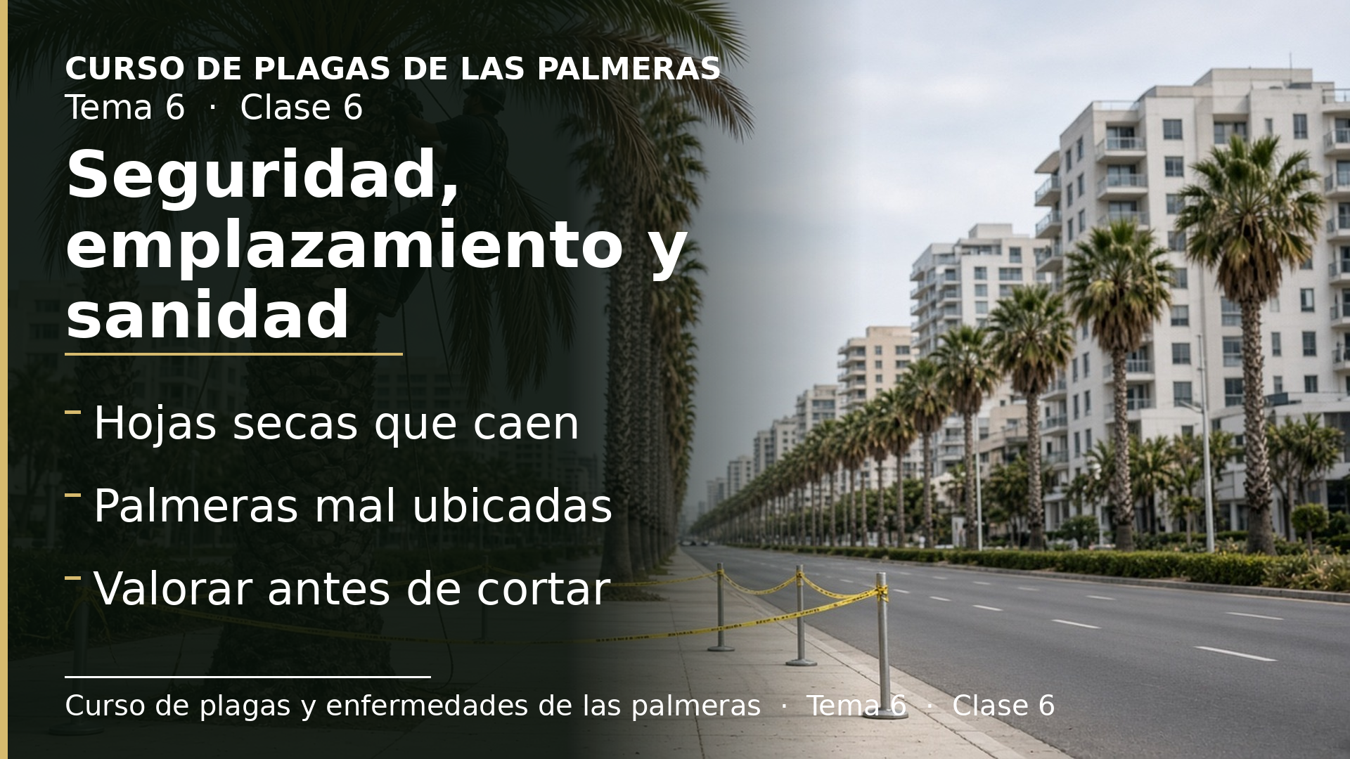 Diapositiva de la clase 6: Seguridad, emplazamiento, ornato y sanidad: otros objetivos de la poda