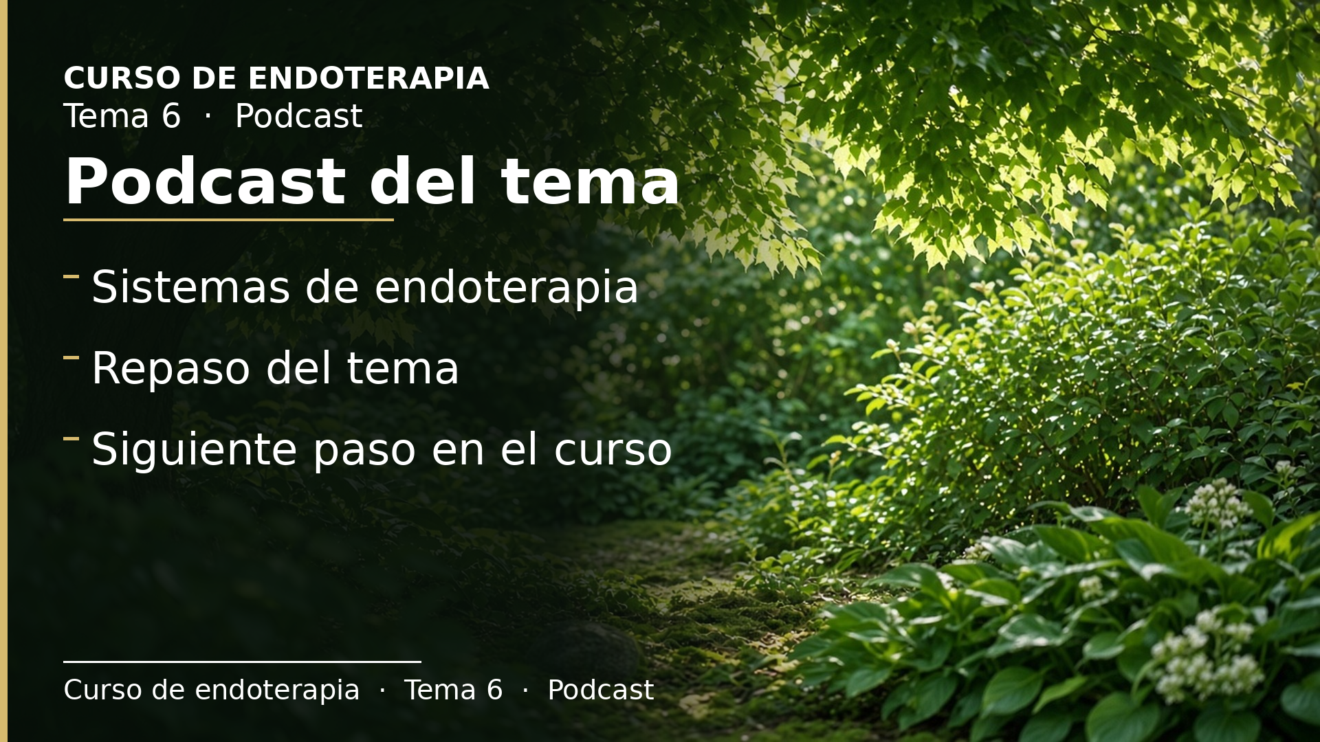 Diapositiva del resumen: Podcast del tema 6 · Sistemas de endoterapia