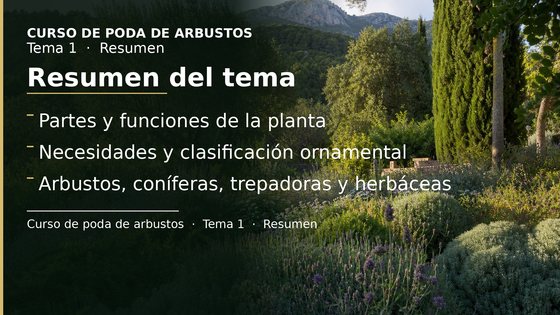 Diapositiva del resumen: Resumen del tema