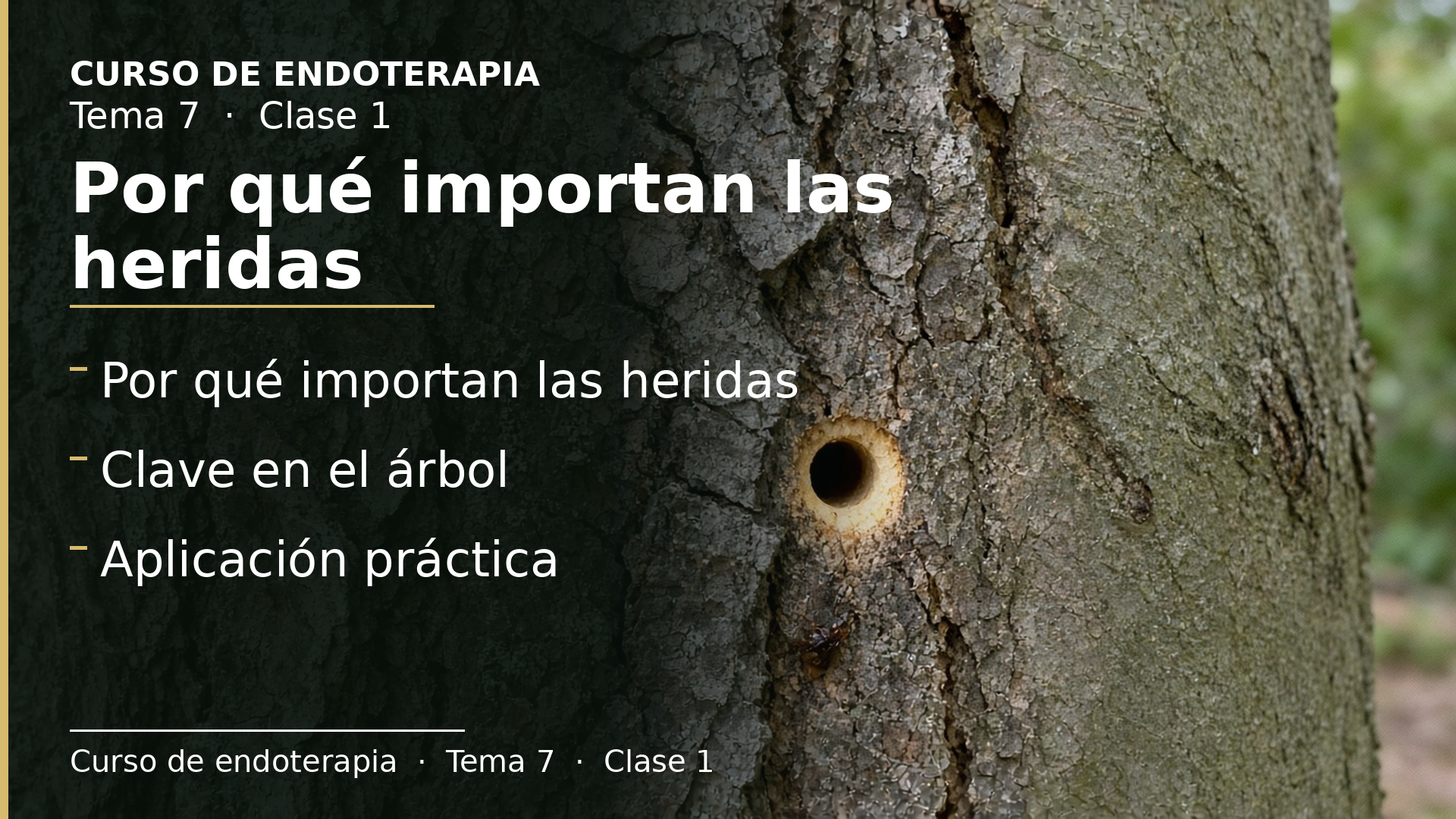 Diapositiva de la clase 1: Por qué importan las heridas