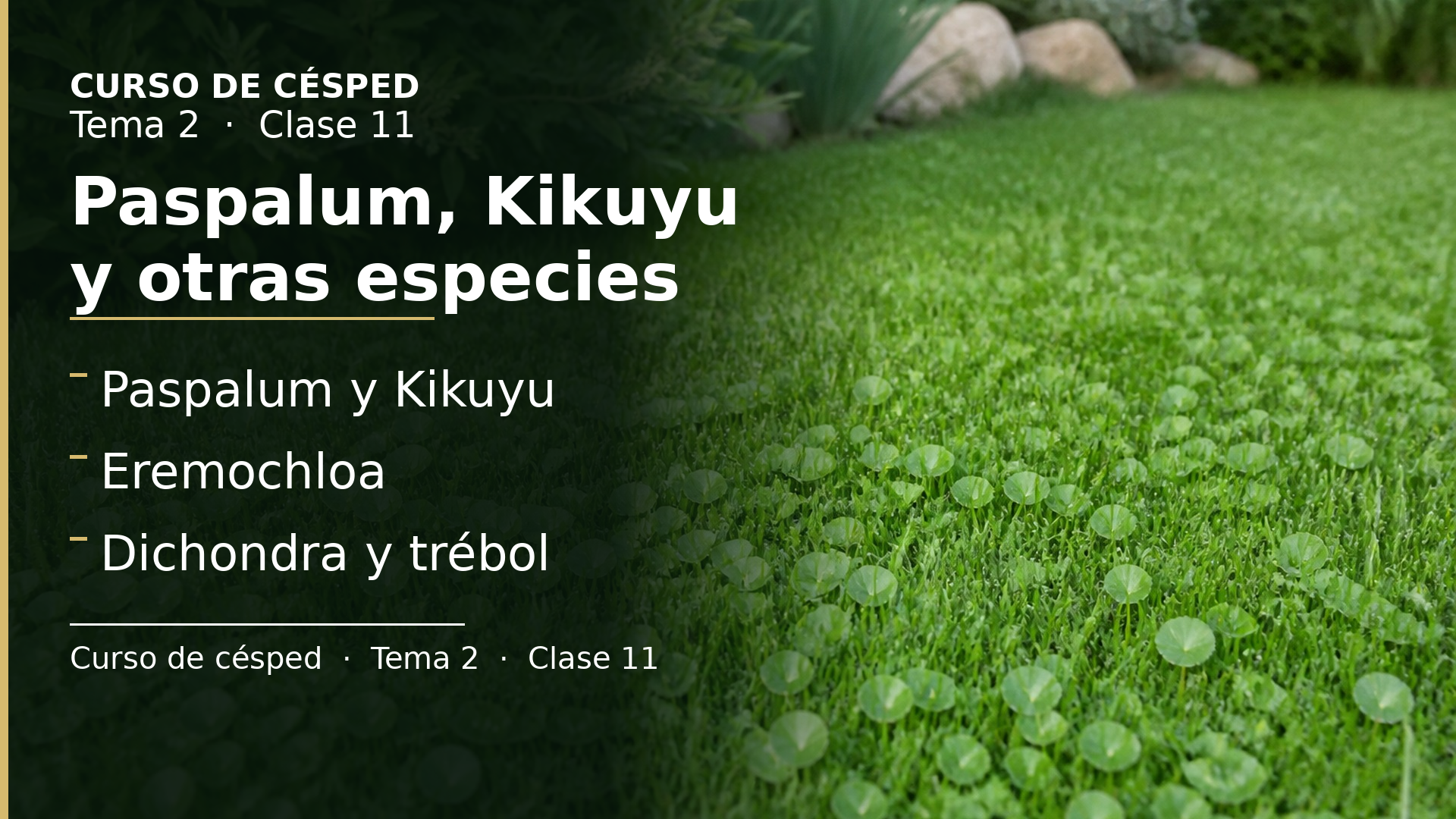 Diapositiva de la clase 11: Paspalum, Pennisetum, Eremochloa, Dichondra y Trifolium