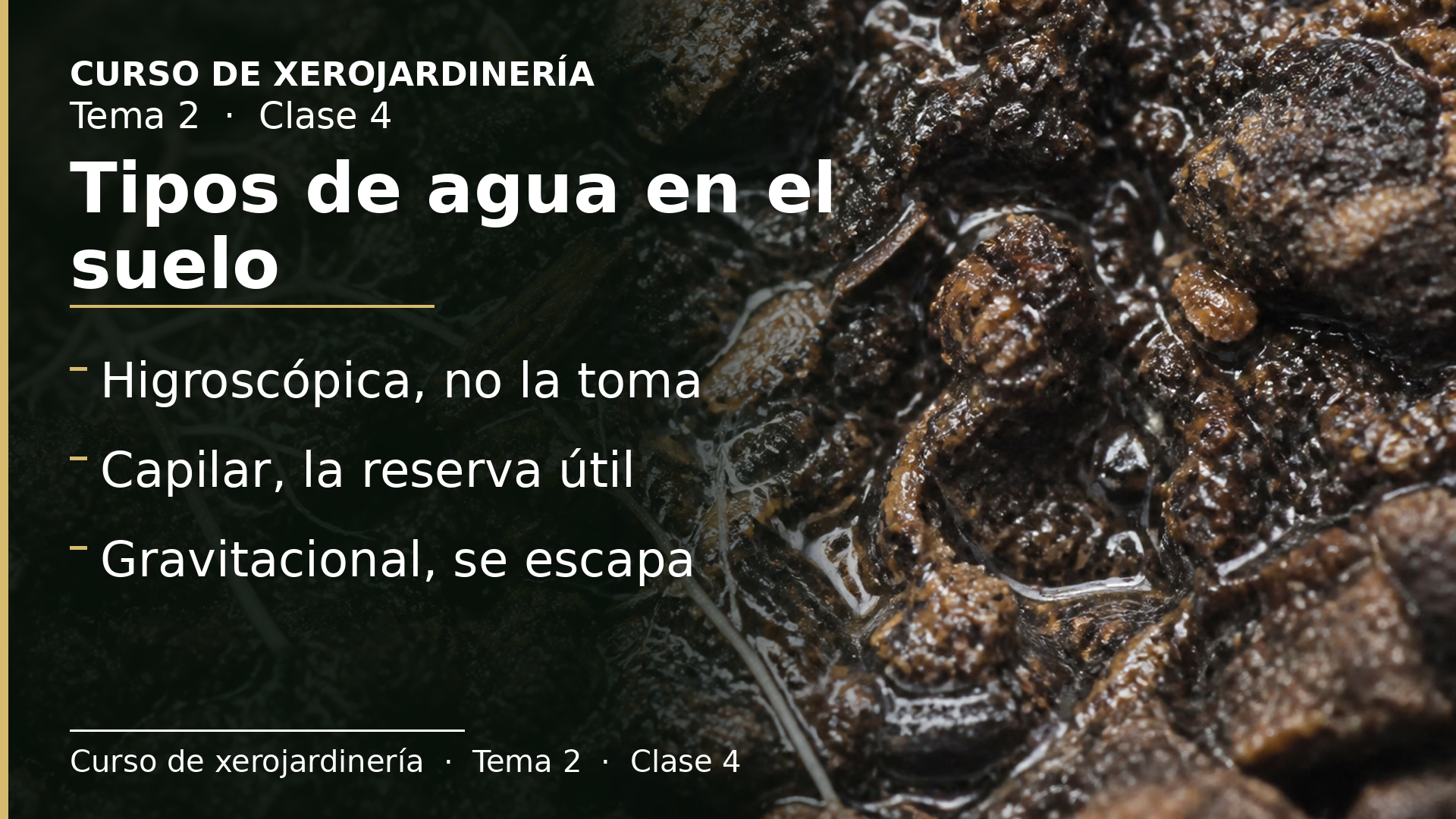 Diapositiva de la clase 4: Tipos de agua en el suelo