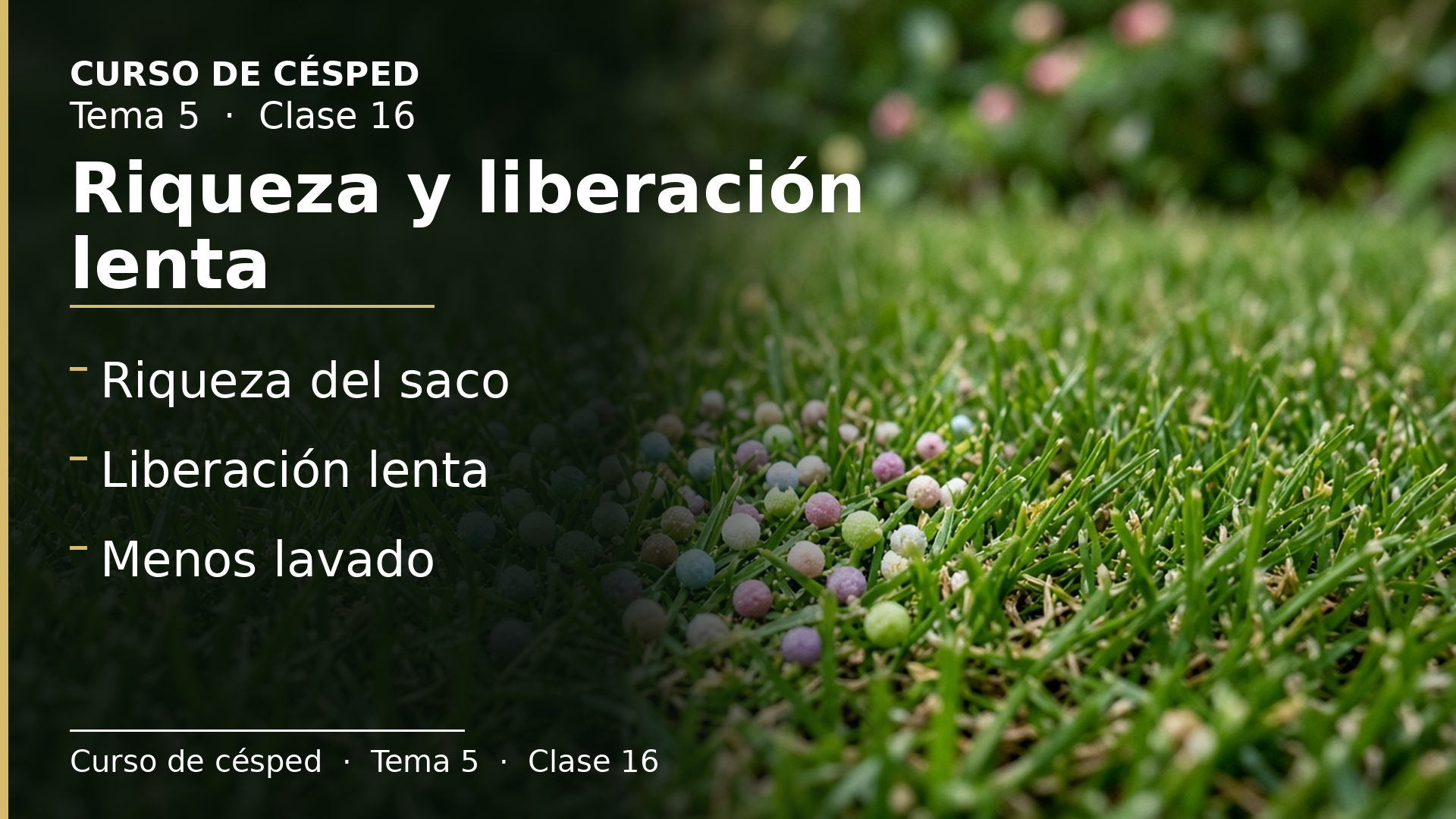 Diapositiva de la clase 16: Riqueza y liberación lenta