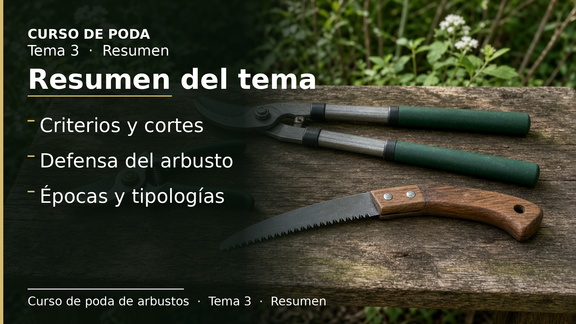 Diapositiva del resumen: Resumen del tema