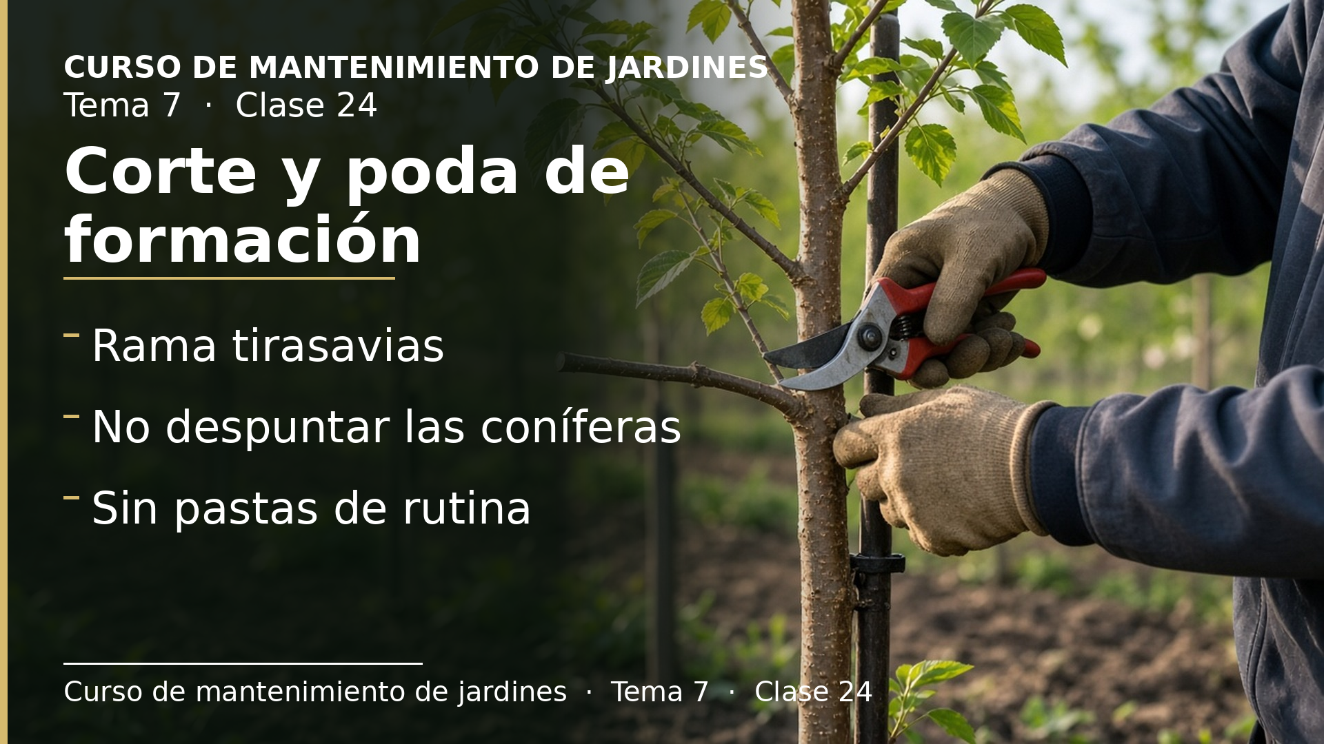 Diapositiva de la clase 24: Métodos de corte y tipos de poda