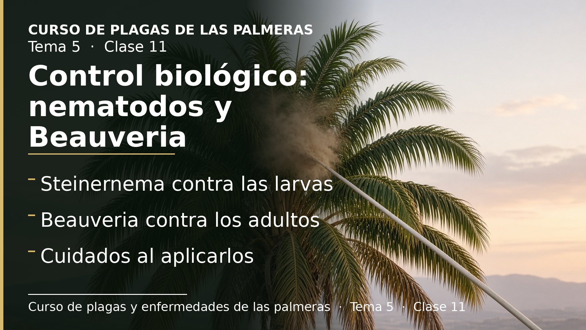 Diapositiva de la clase 11: Control biológico: nematodos y el hongo Beauveria