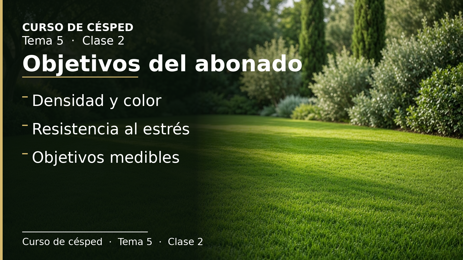 Diapositiva de la clase 2: Objetivos del abonado