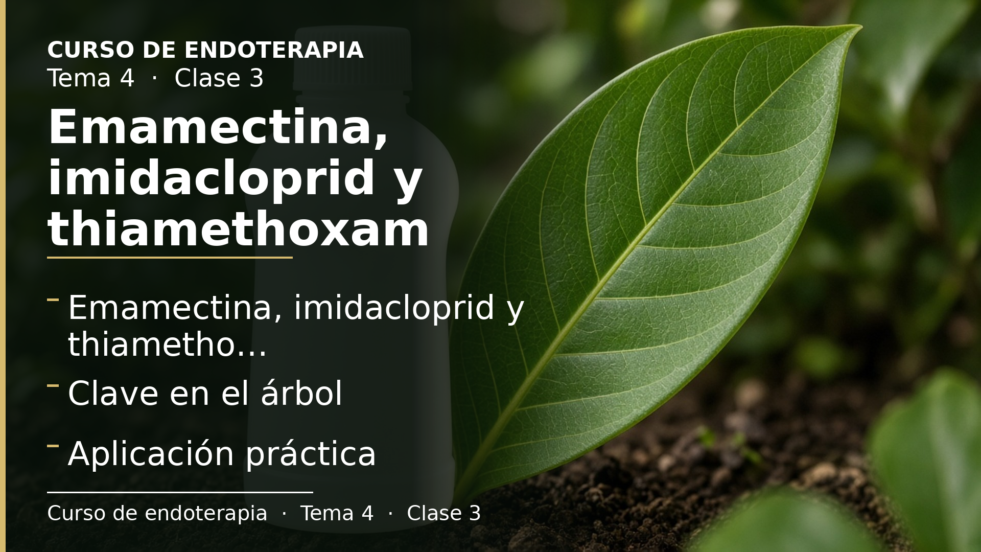 Diapositiva de la clase 3: Emamectina, imidacloprid y thiamethoxam