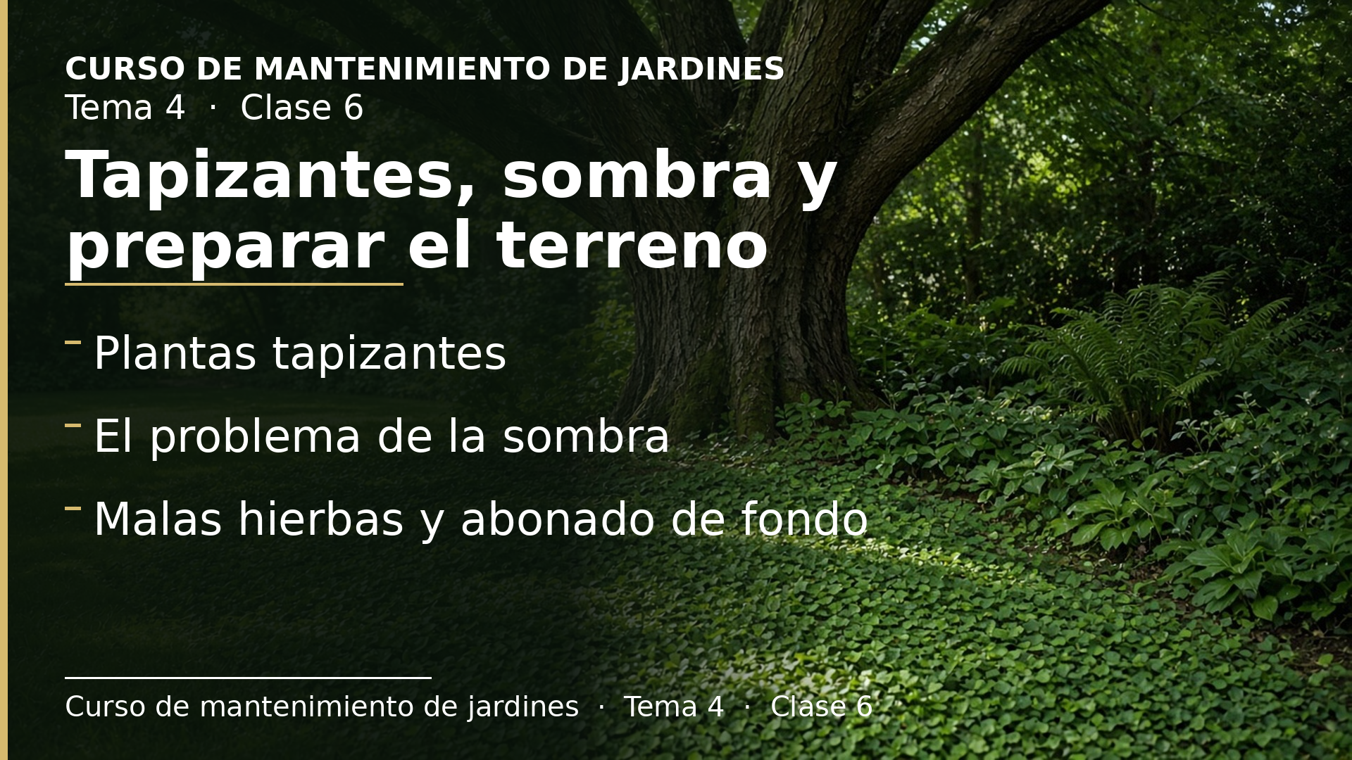 Diapositiva de la clase 6: Tapizantes, el problema de la sombra y preparar el terreno