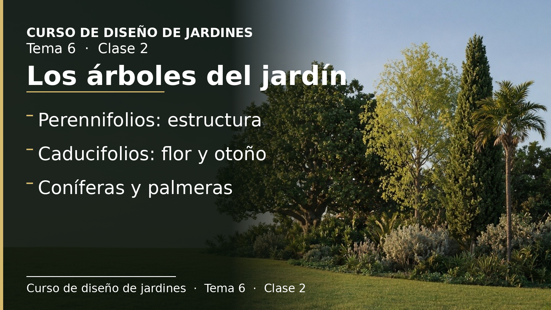 Diapositiva de la clase 2: Árboles: perennifolios, caducifolios, coníferas y palmeras