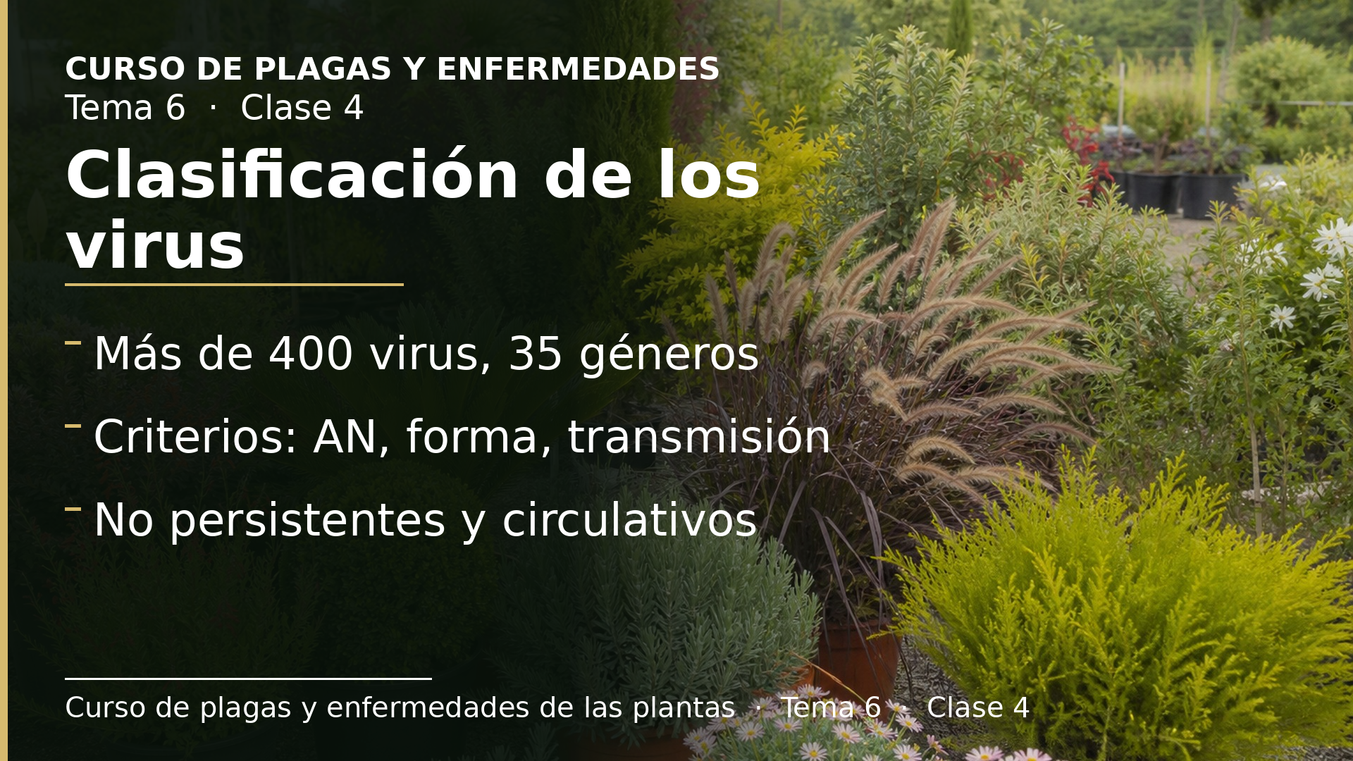 Diapositiva de la clase 4: Clasificación de los virus