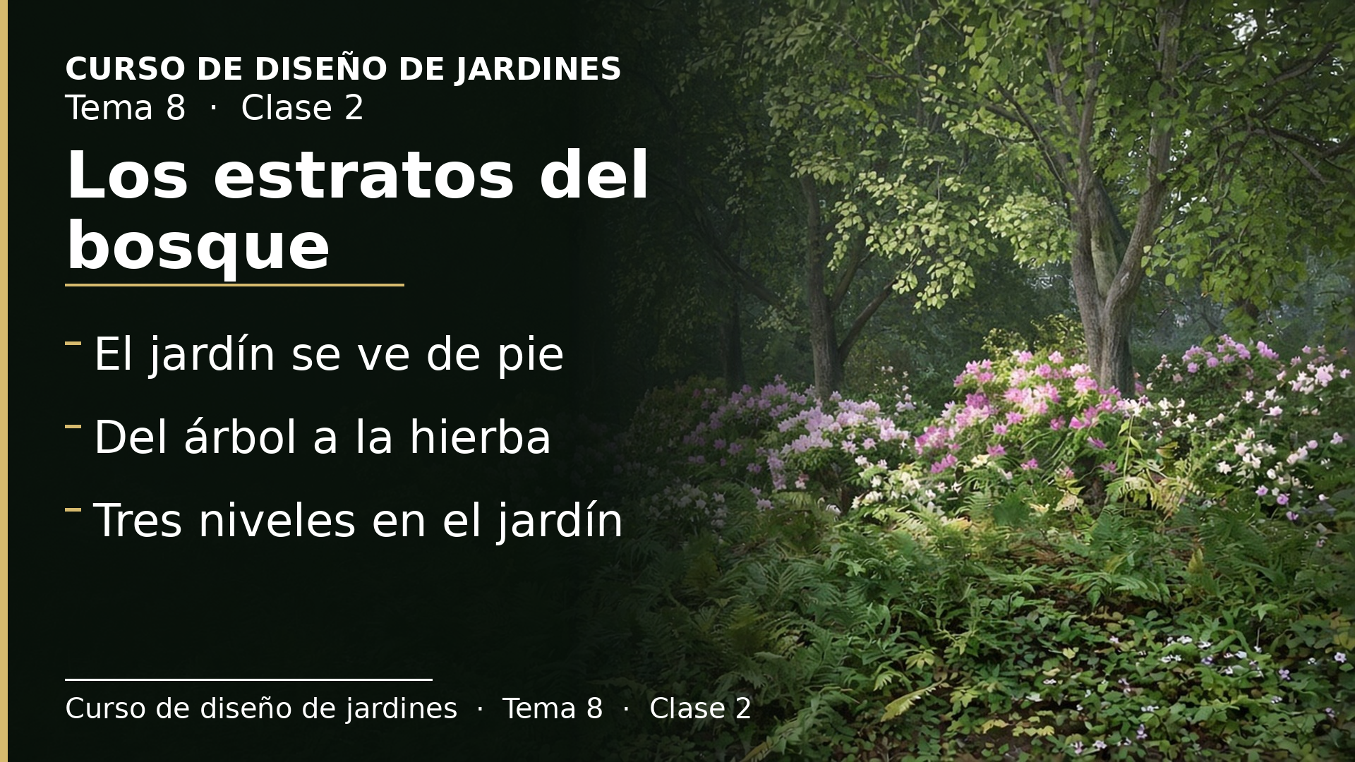 Diapositiva de la clase 2: Los estratos del bosque y la estructura de tres niveles