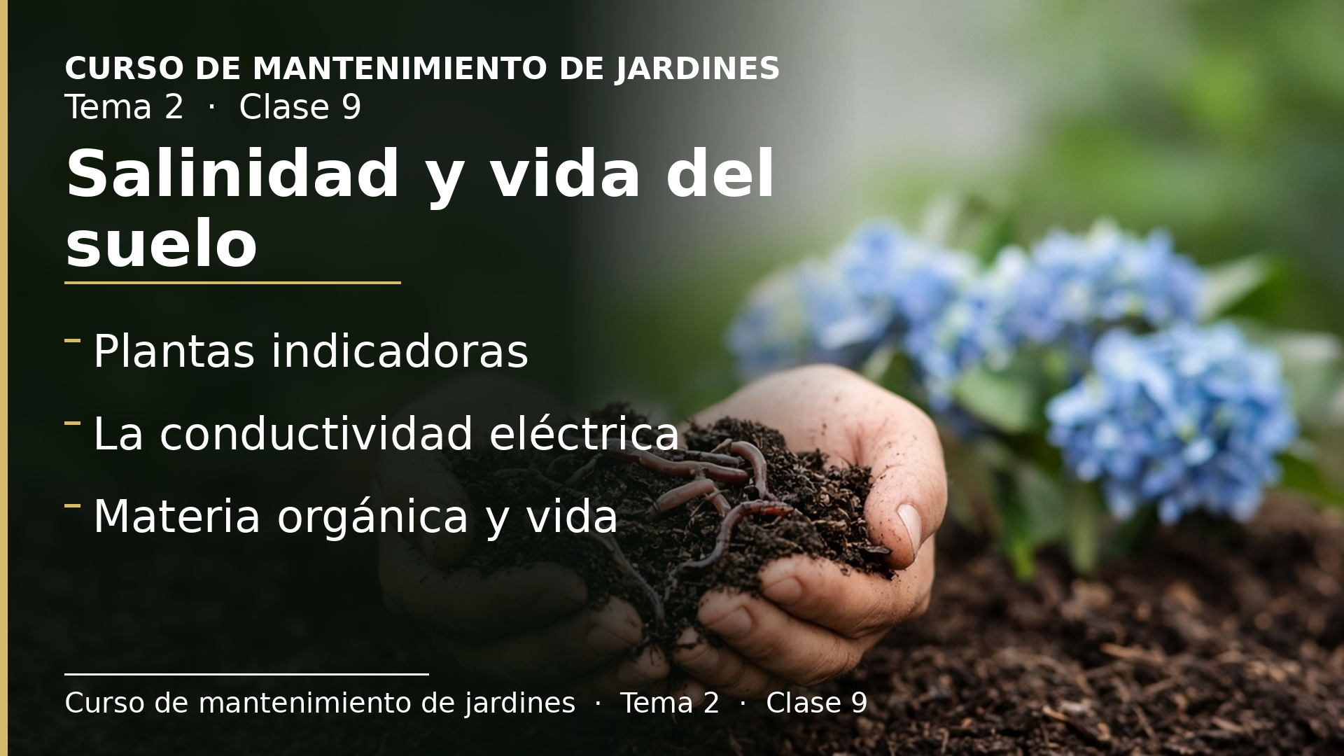 Diapositiva de la clase 9: Salinidad y vida del suelo