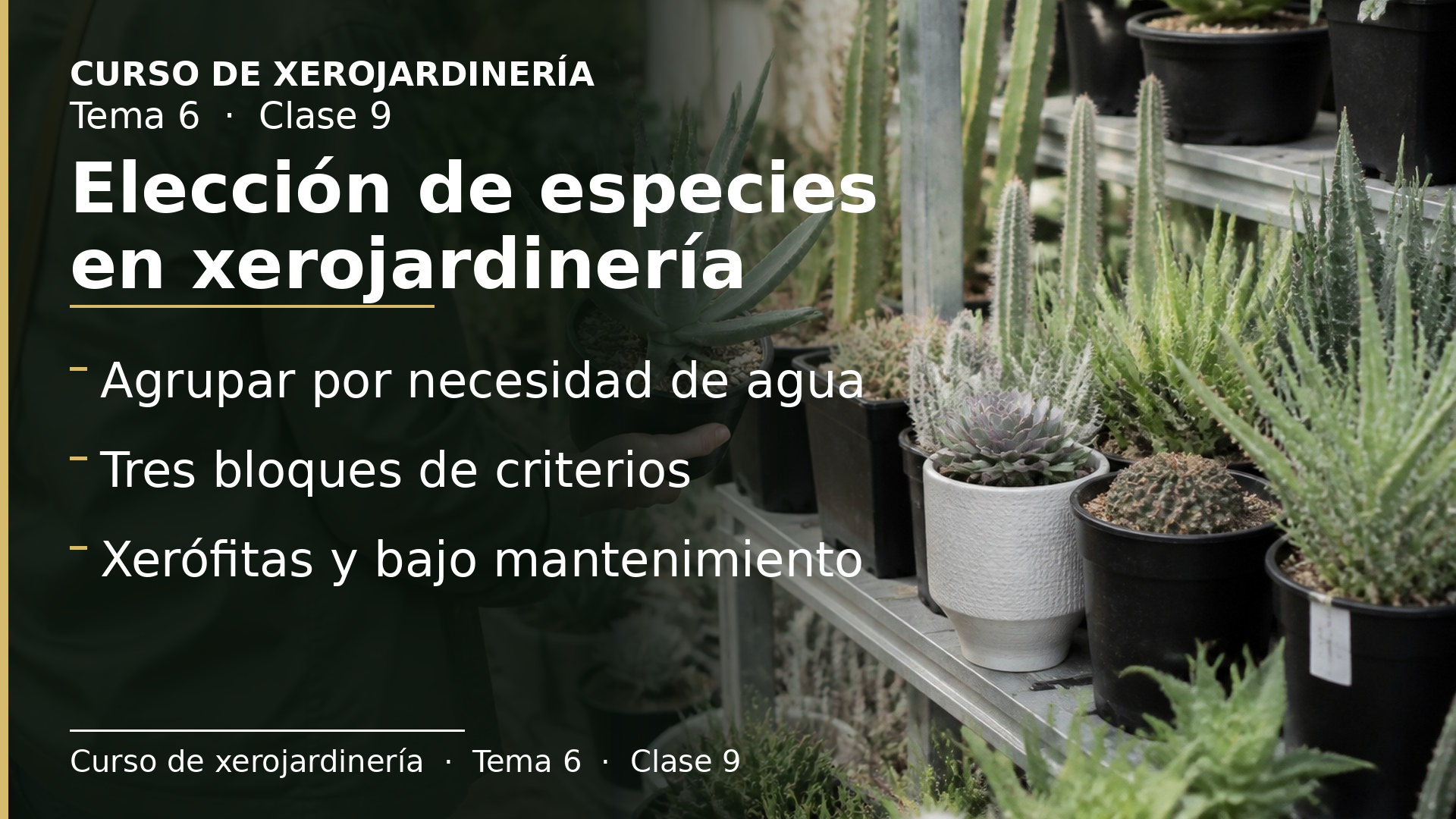 Diapositiva de la clase 9: Elección de especies en xerojardinería