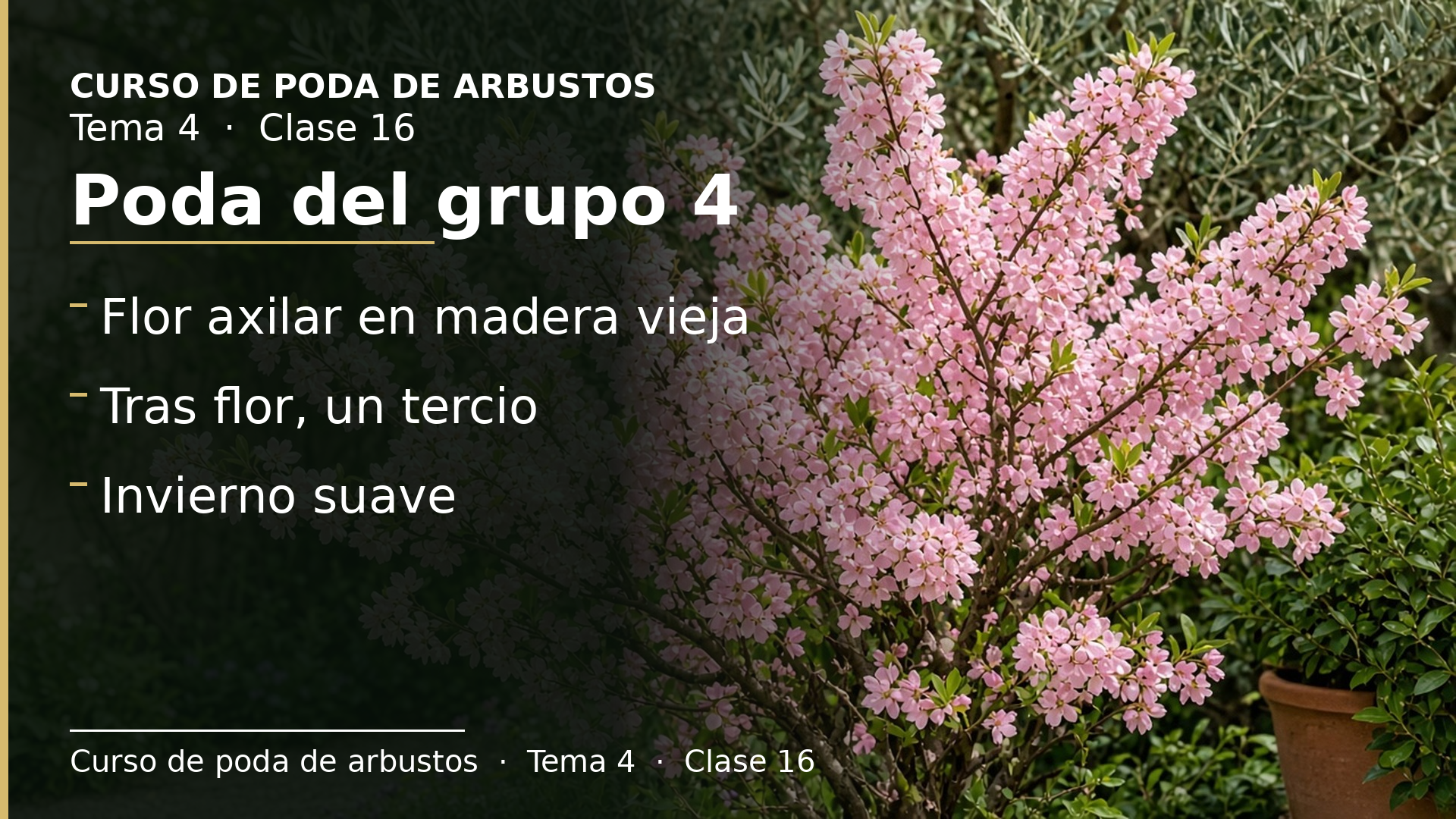 Diapositiva de la clase 16: Poda grupo 4