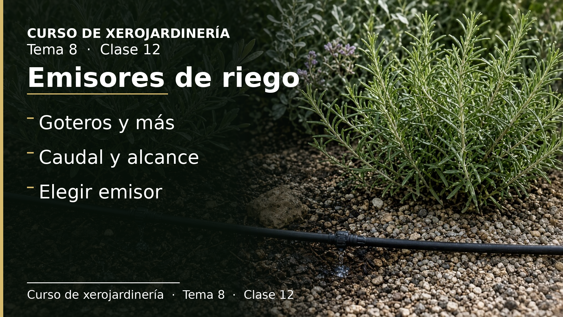 Diapositiva de la clase 12: Emisores de riego