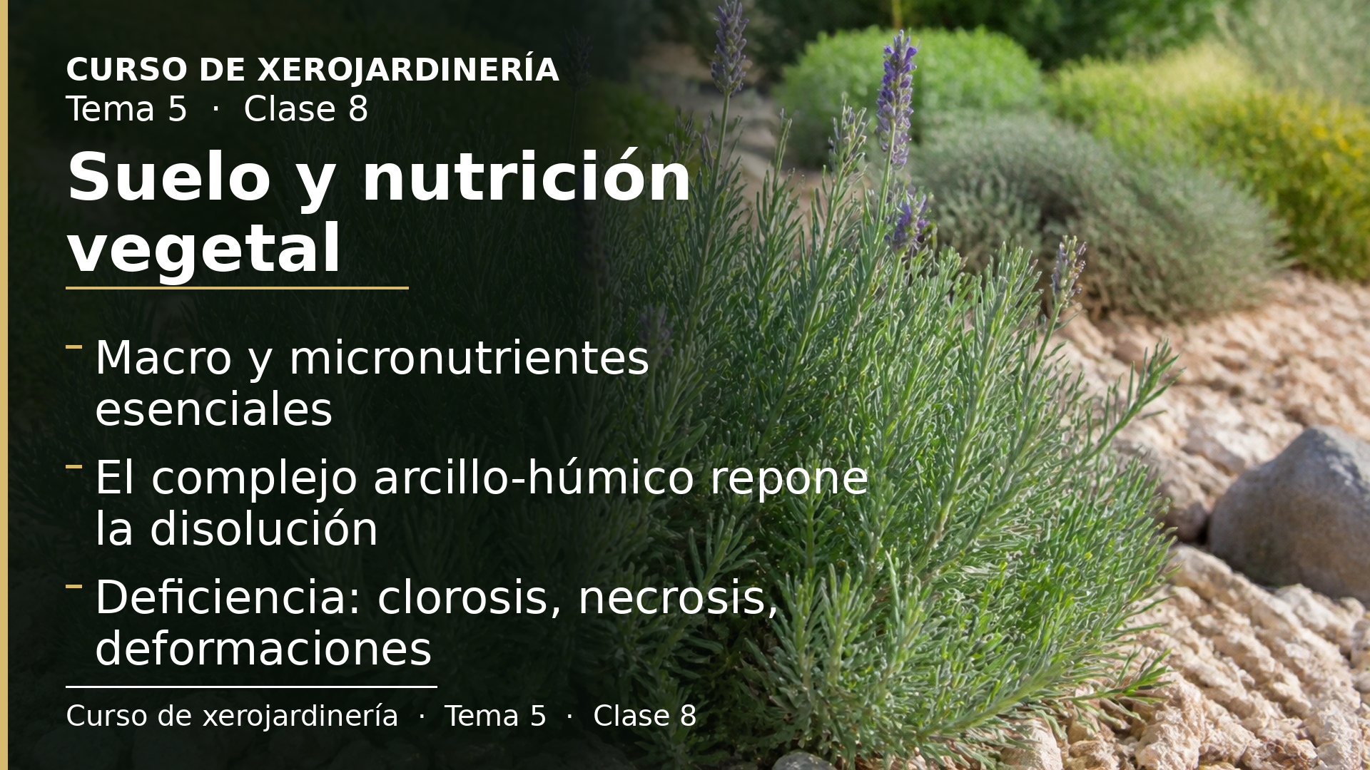 Diapositiva de la clase 8: Suelo y nutrición vegetal