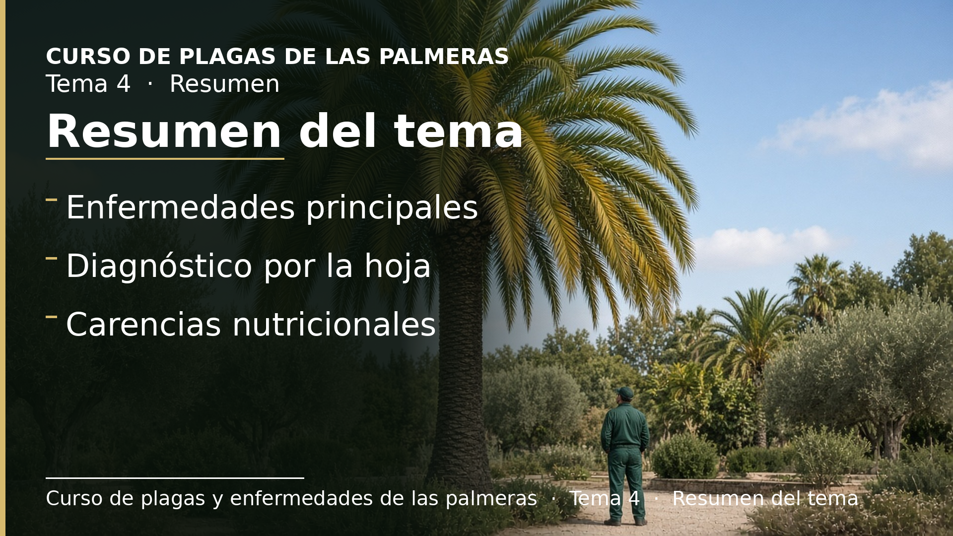 Diapositiva del resumen: Resumen del tema