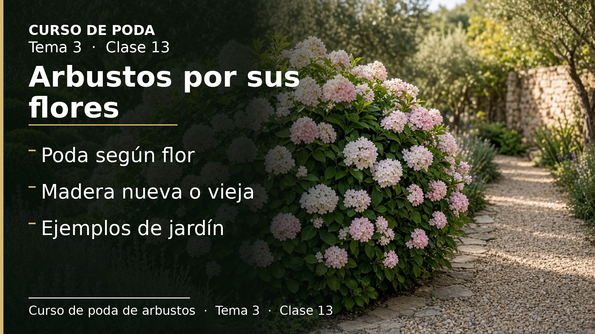 Diapositiva de la clase 13: Arbustos por sus flores